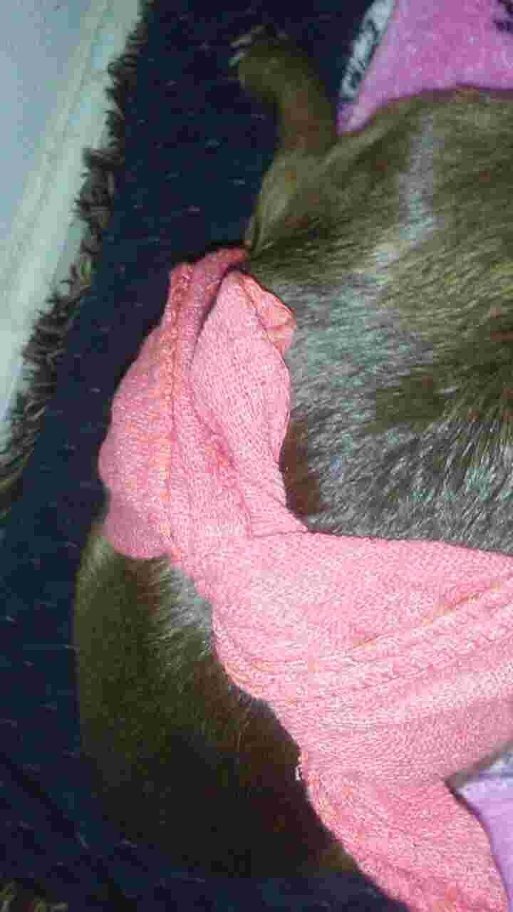 Question details sensitive content