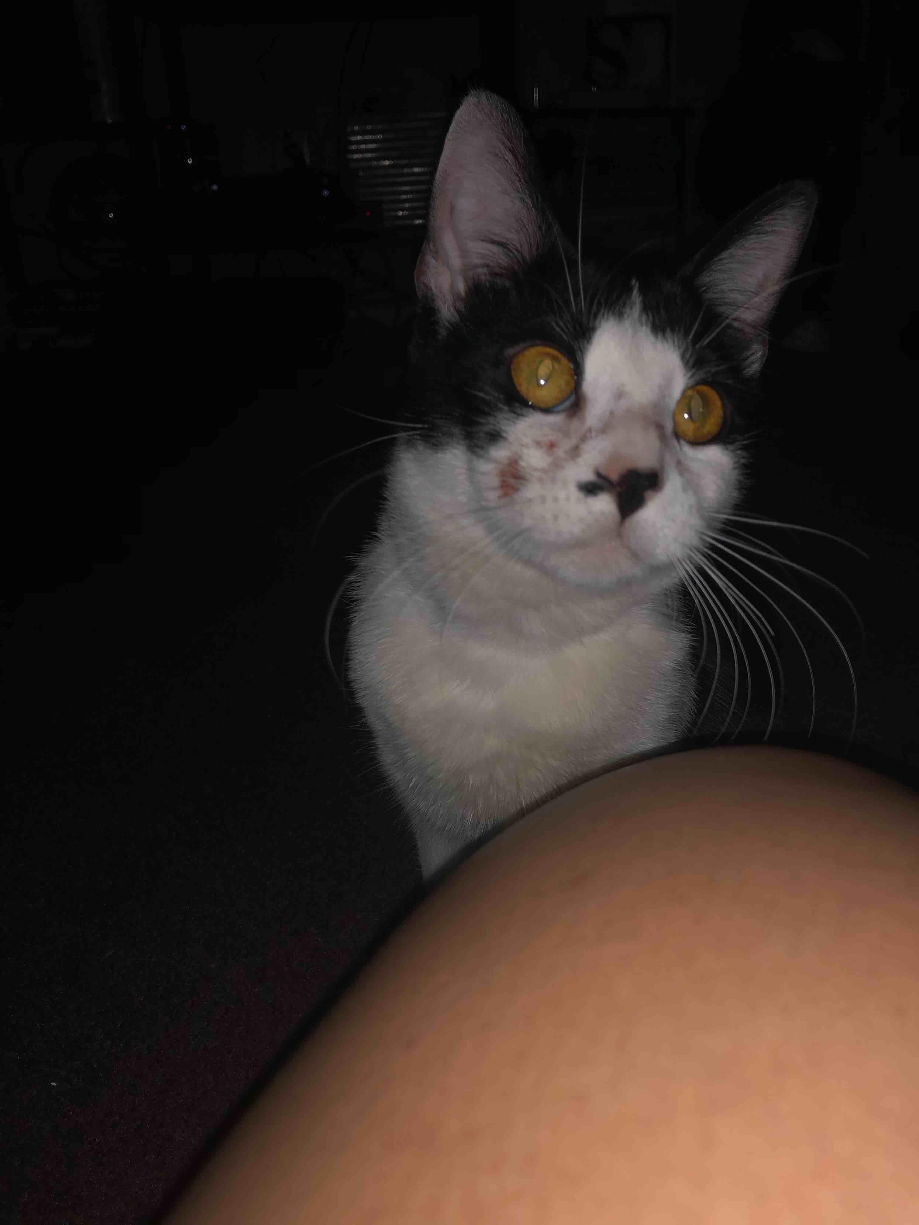 Question details sensitive content