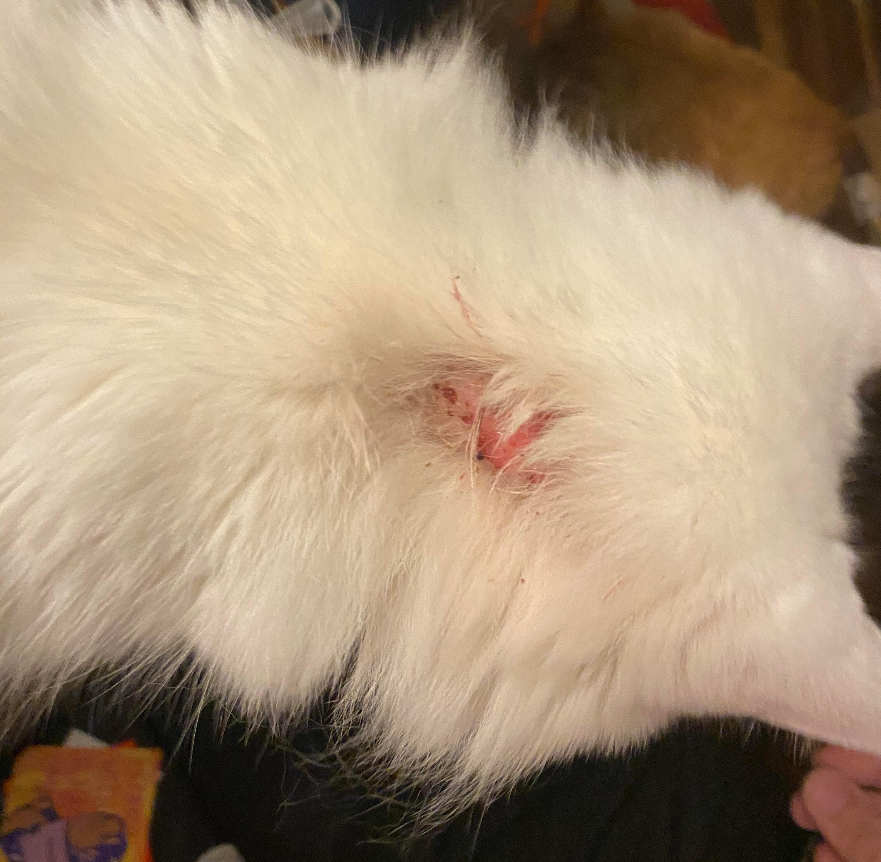 Question details sensitive content