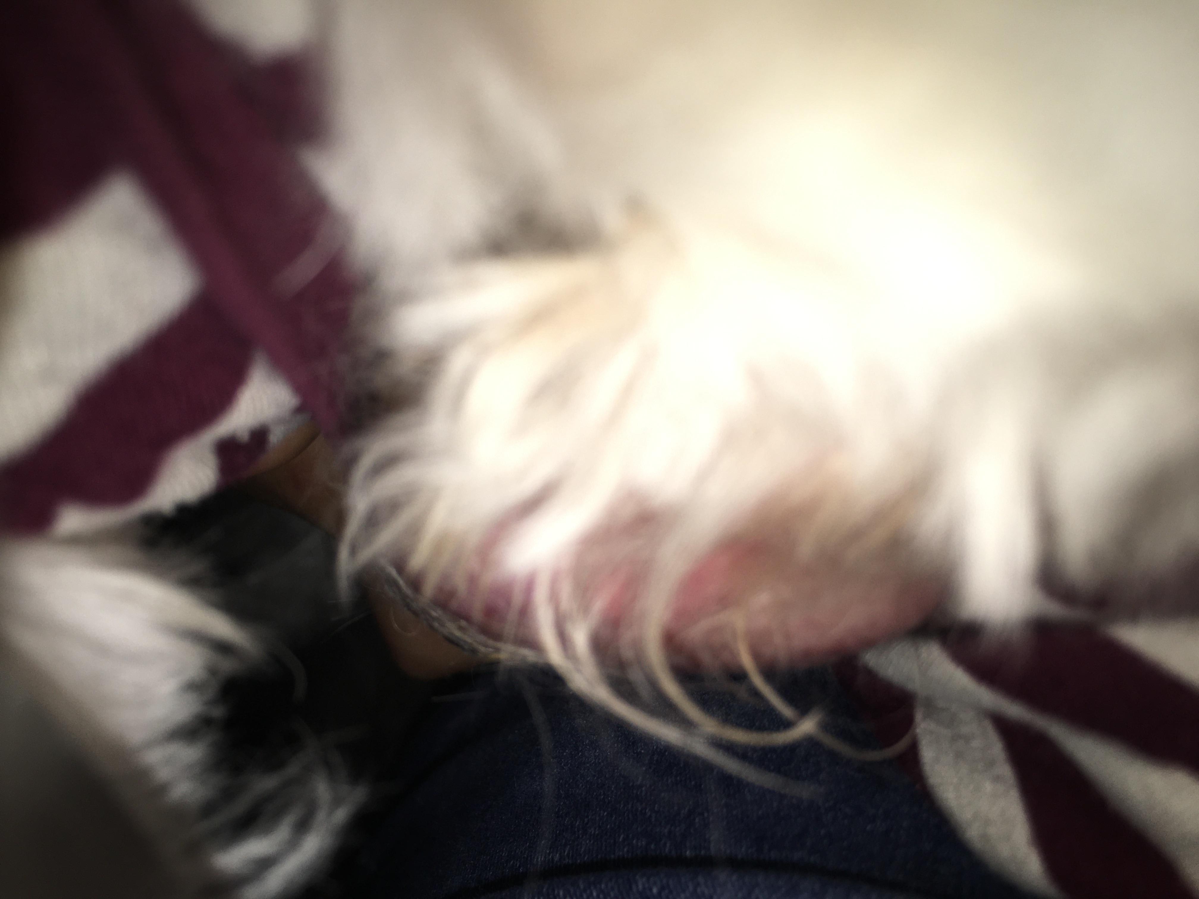 Question details sensitive content