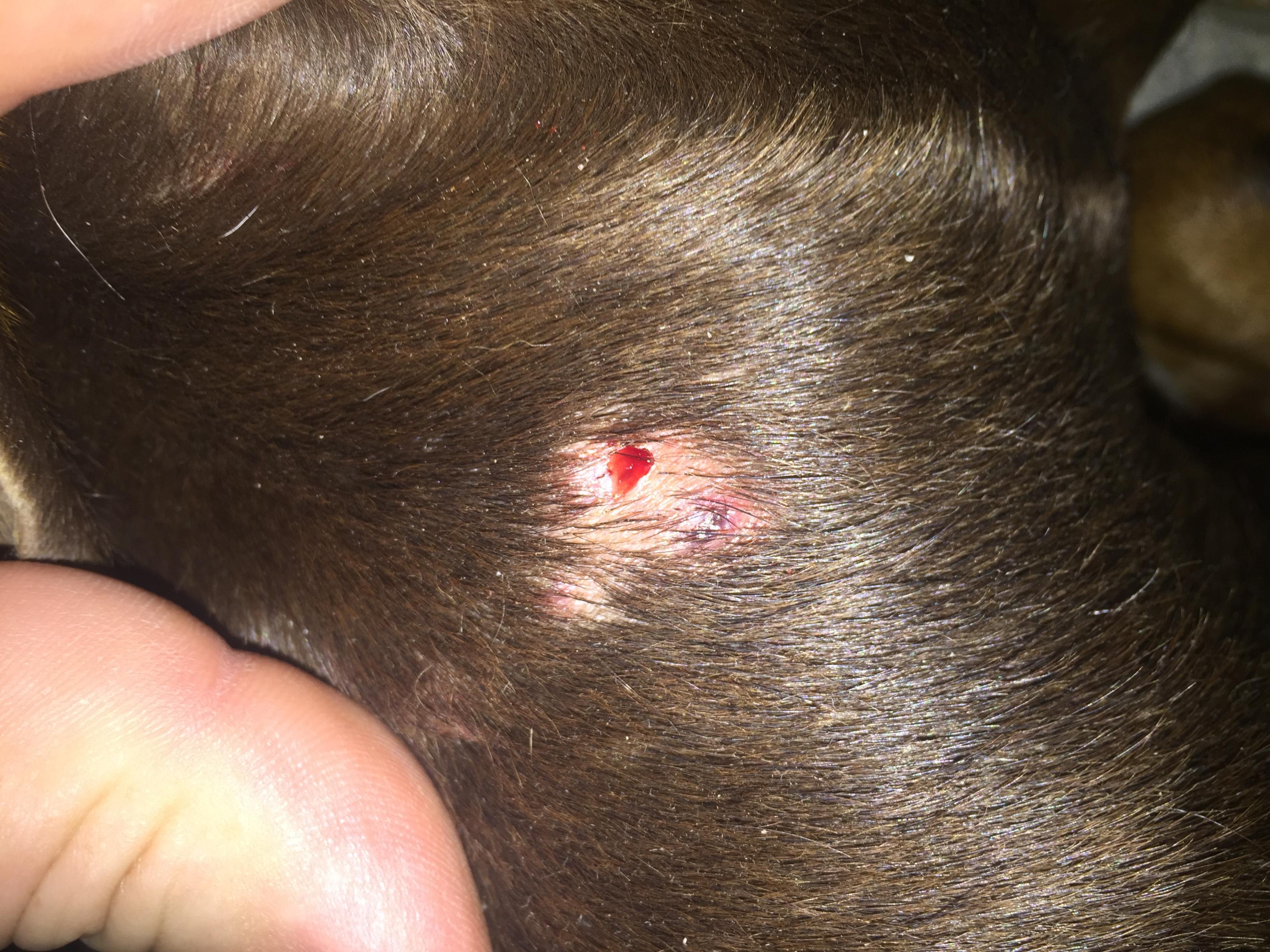 Question details sensitive content