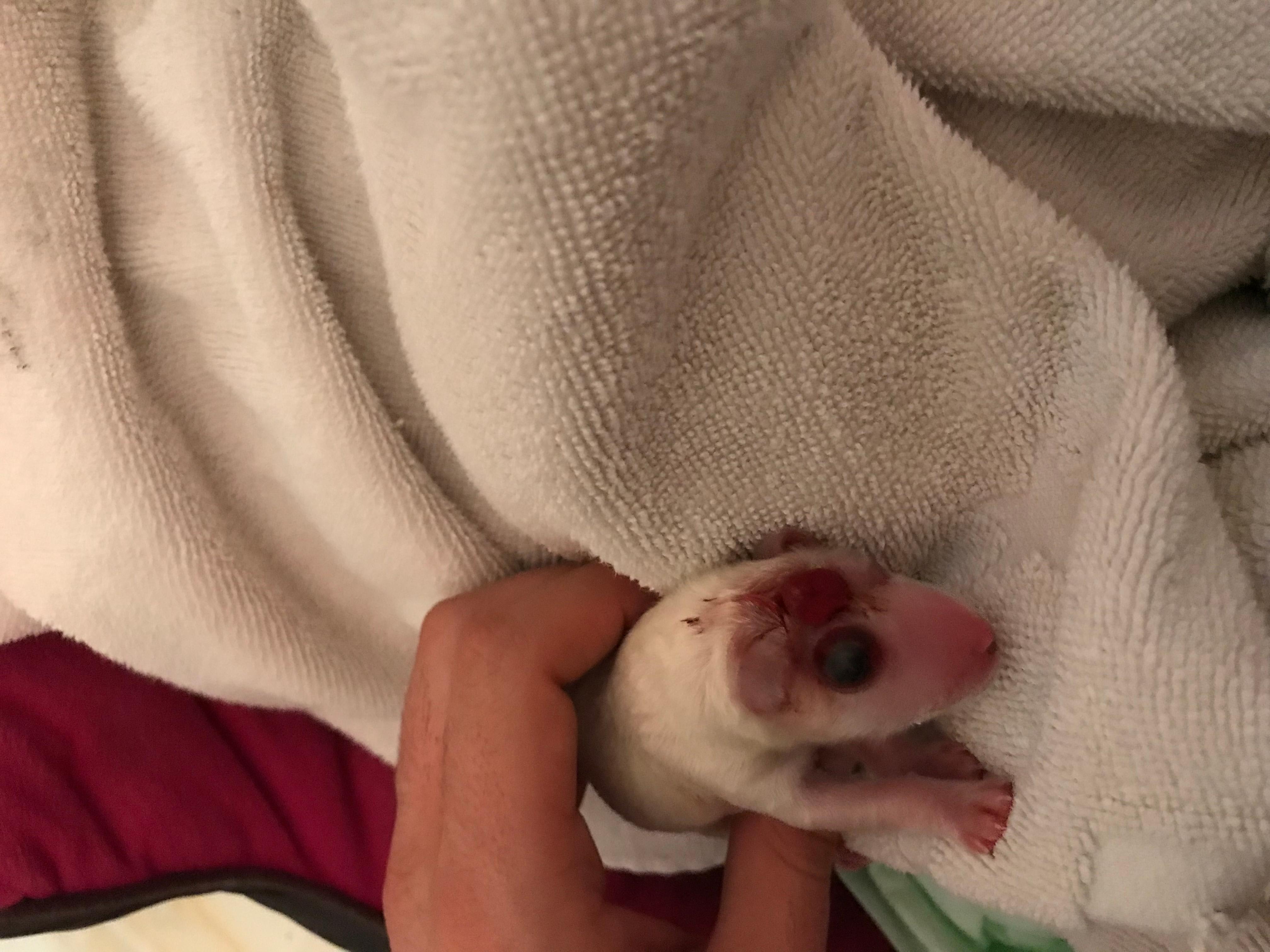 Question details sensitive content