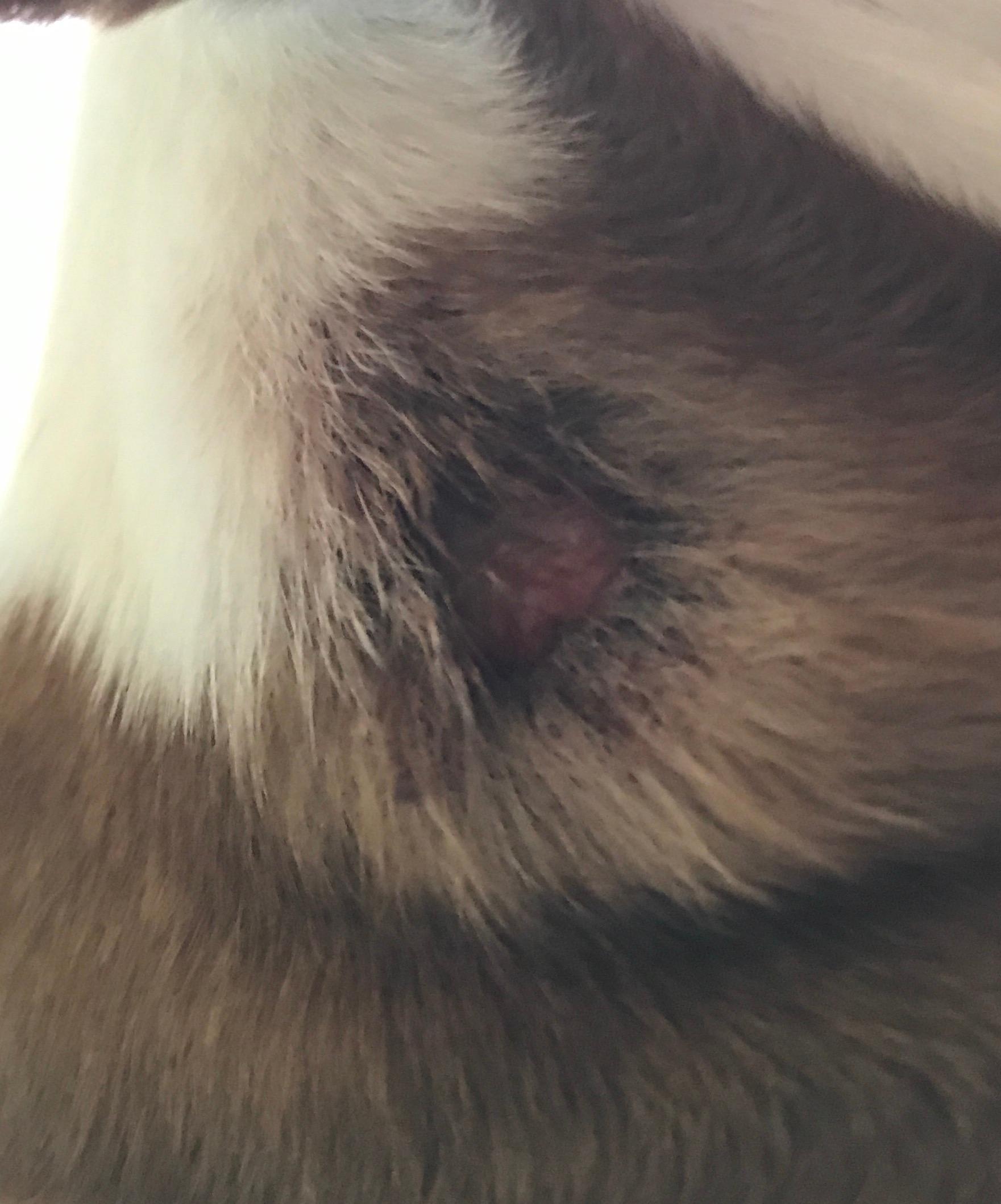 Question details sensitive content