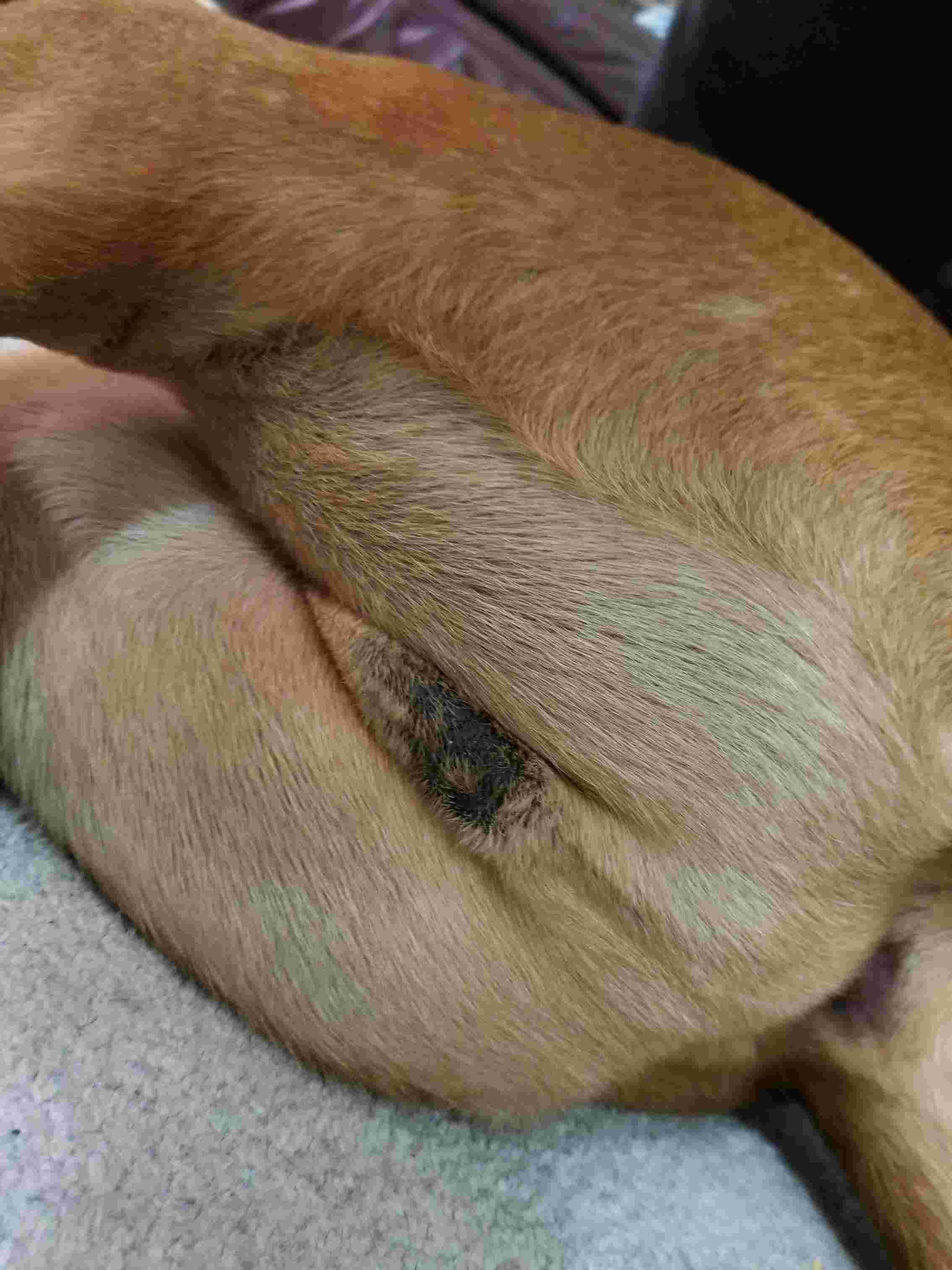 Question details sensitive content