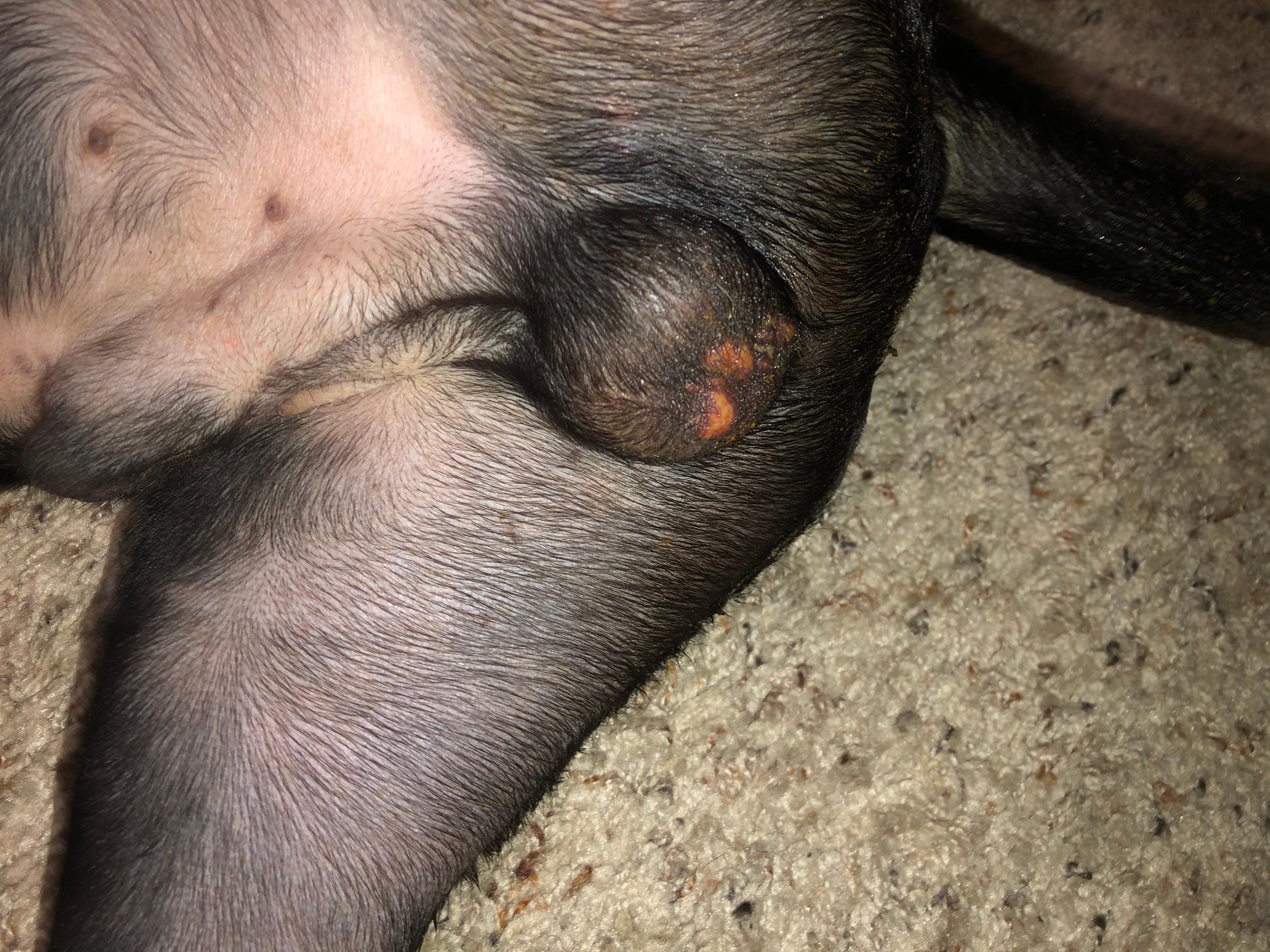 Question details sensitive content