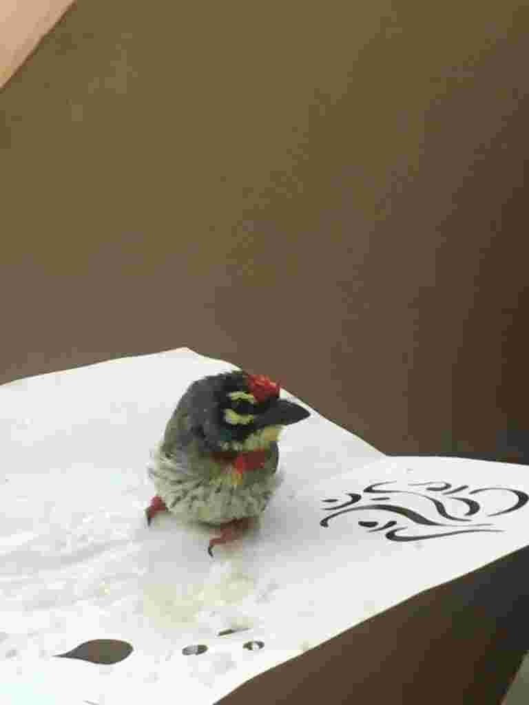 Question details sensitive content