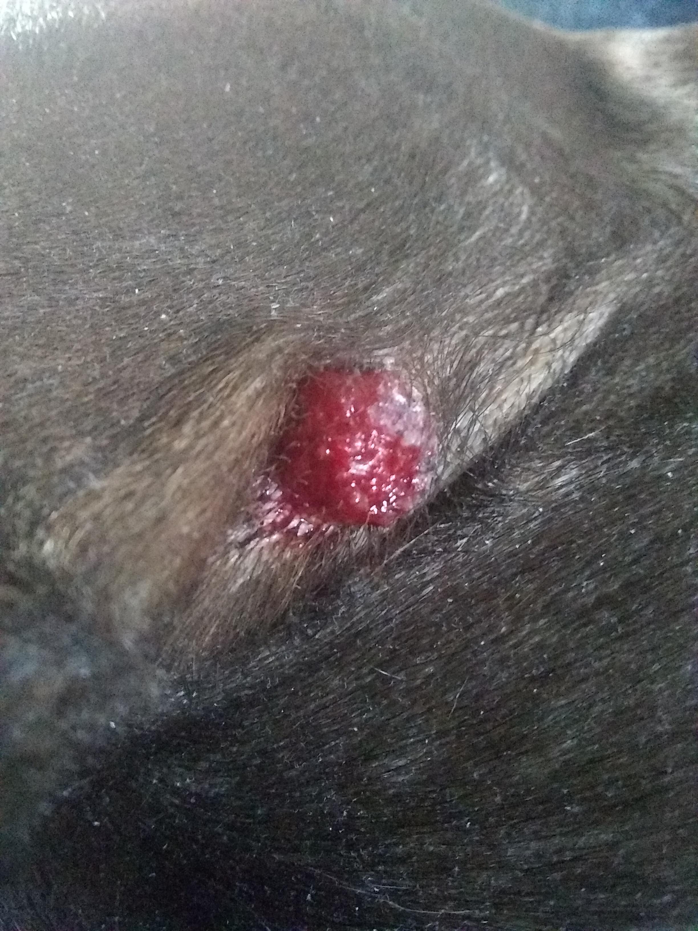 Question details sensitive content