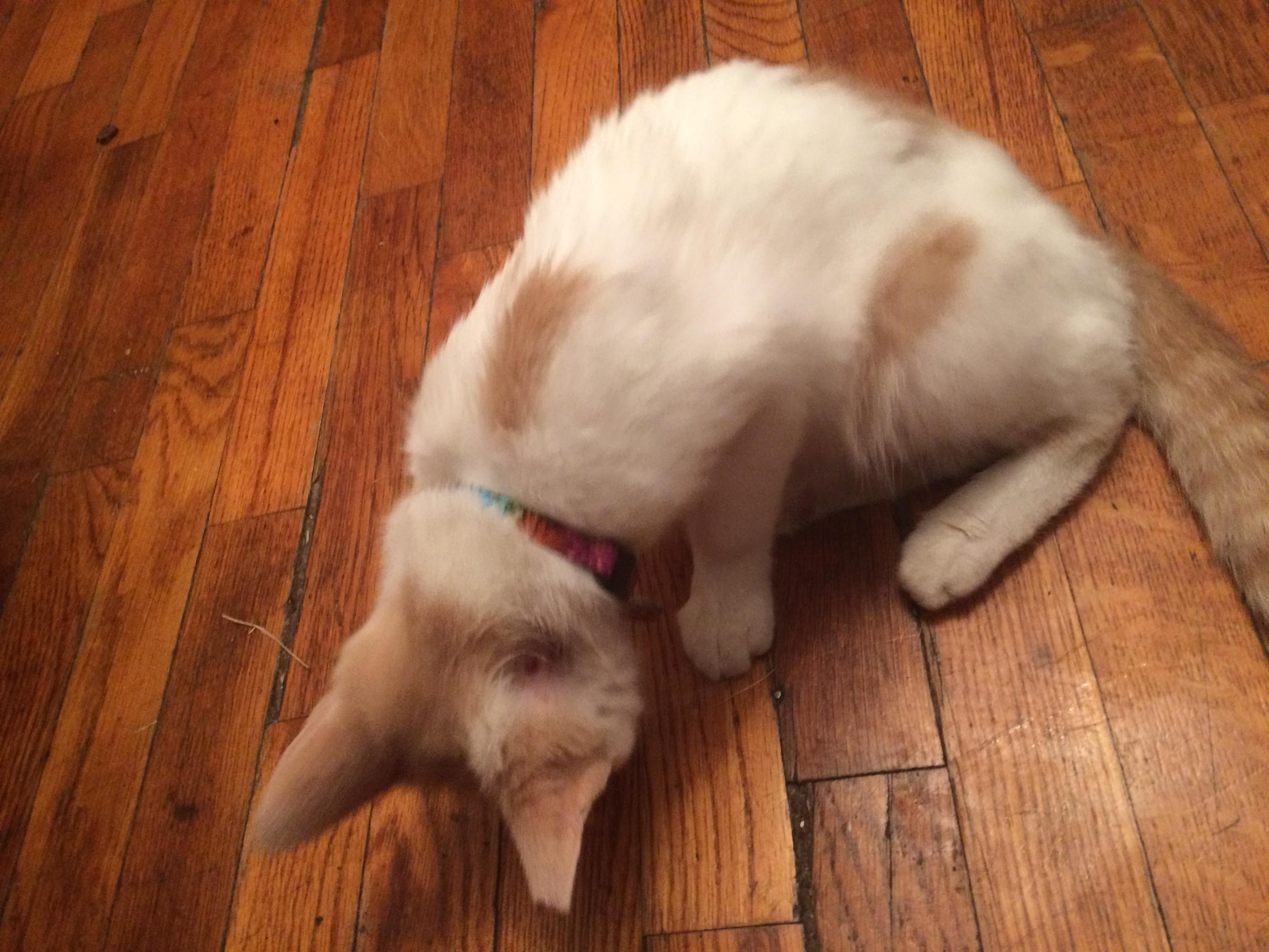 Question details sensitive content