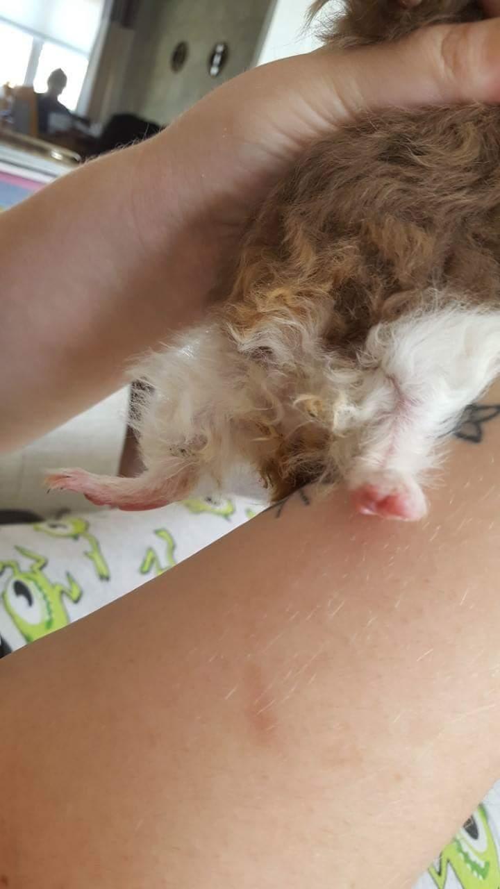 Question details sensitive content