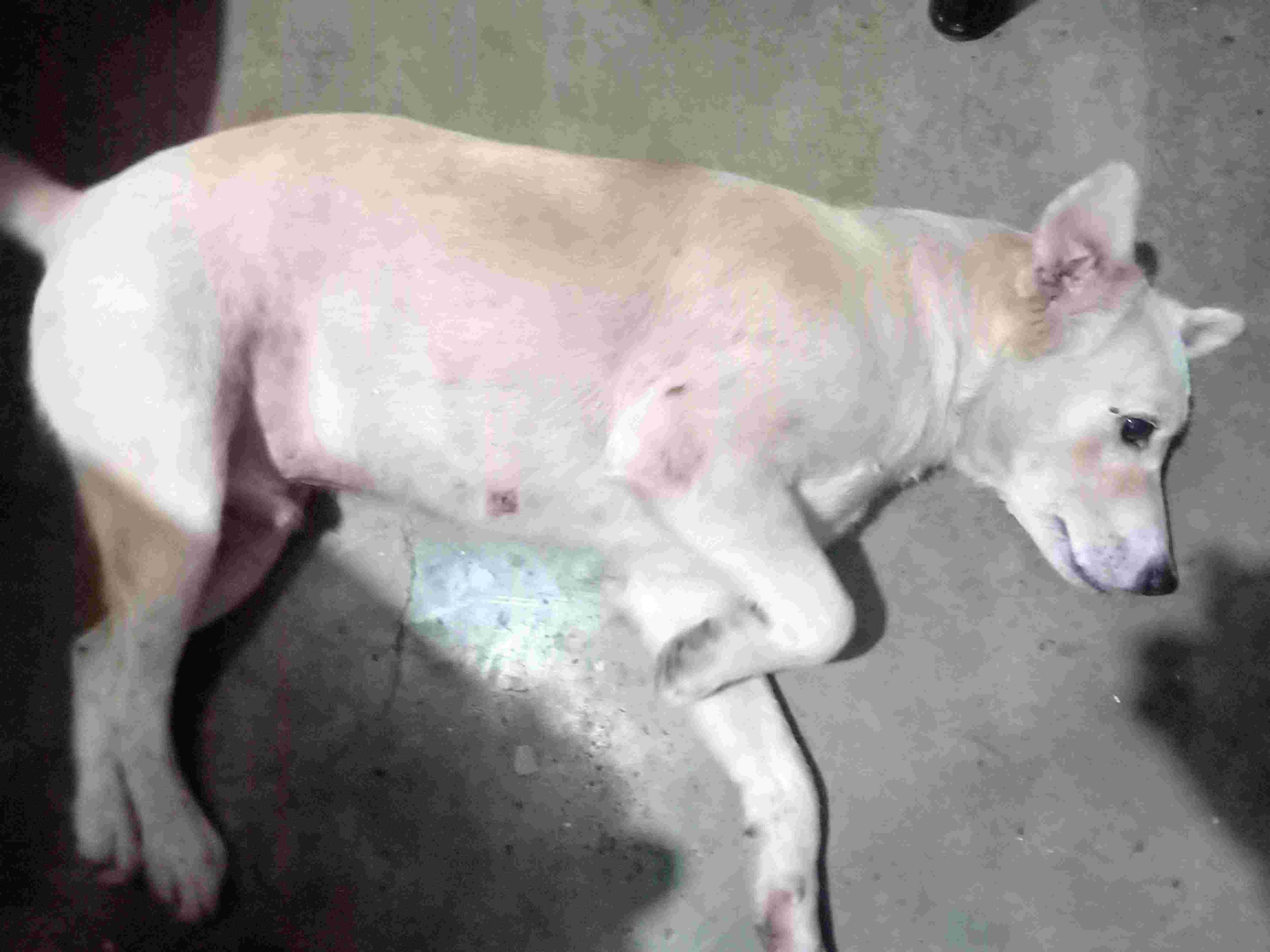 Question details sensitive content