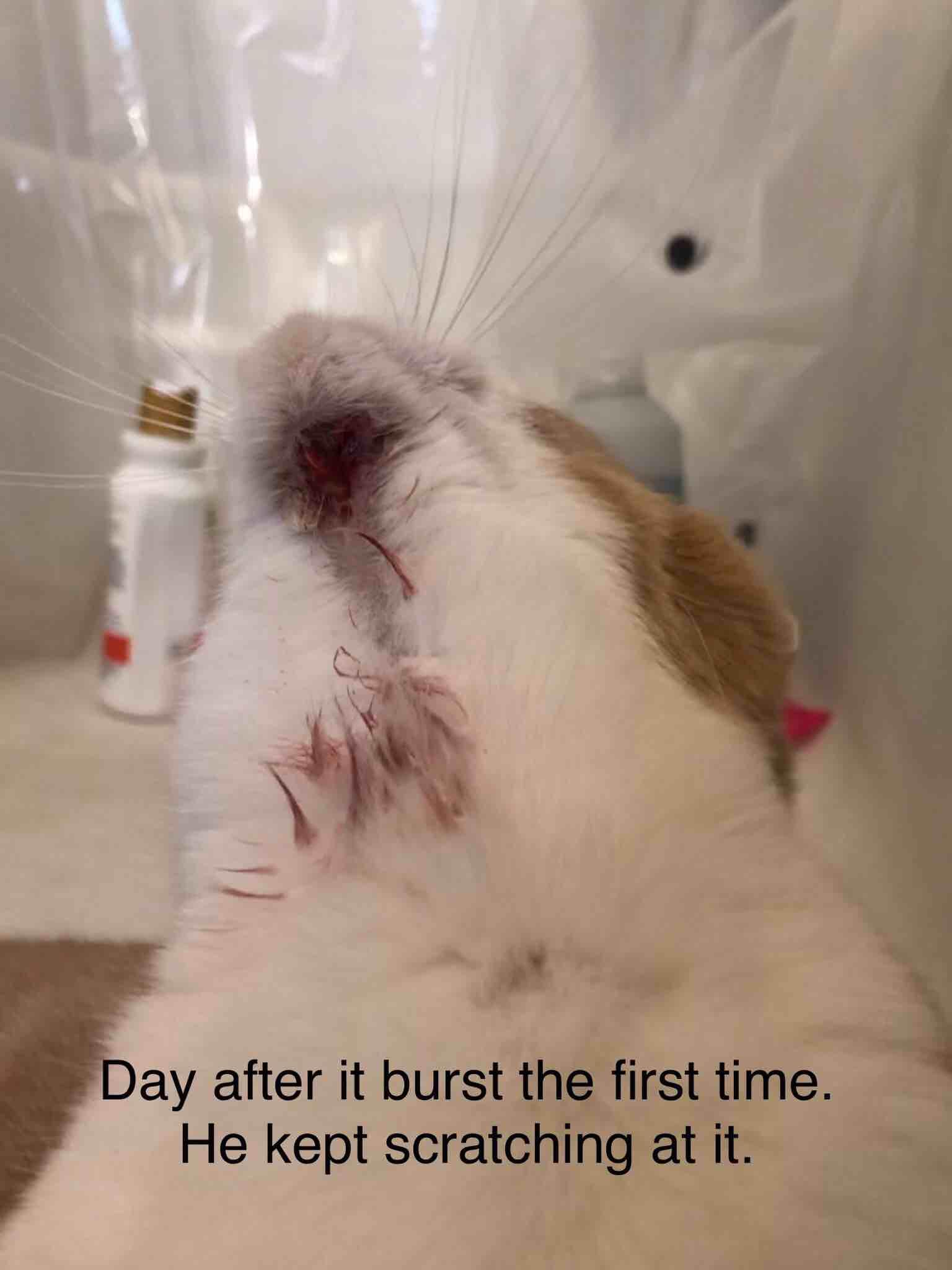 Question details sensitive content