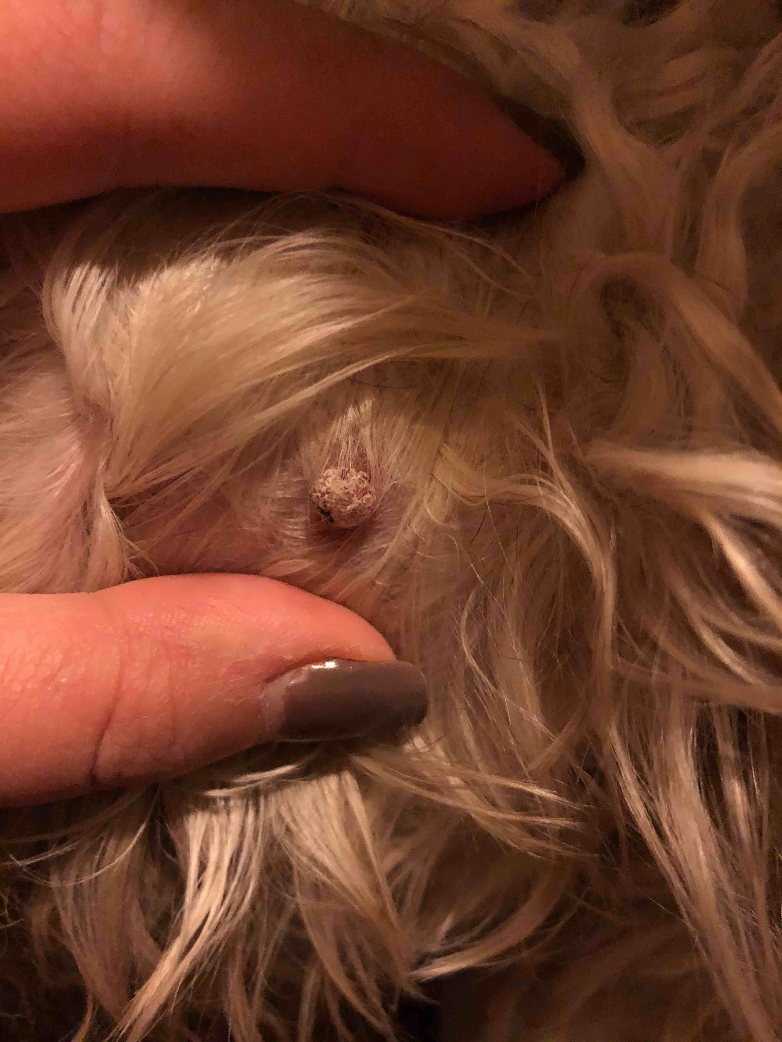 Question details sensitive content