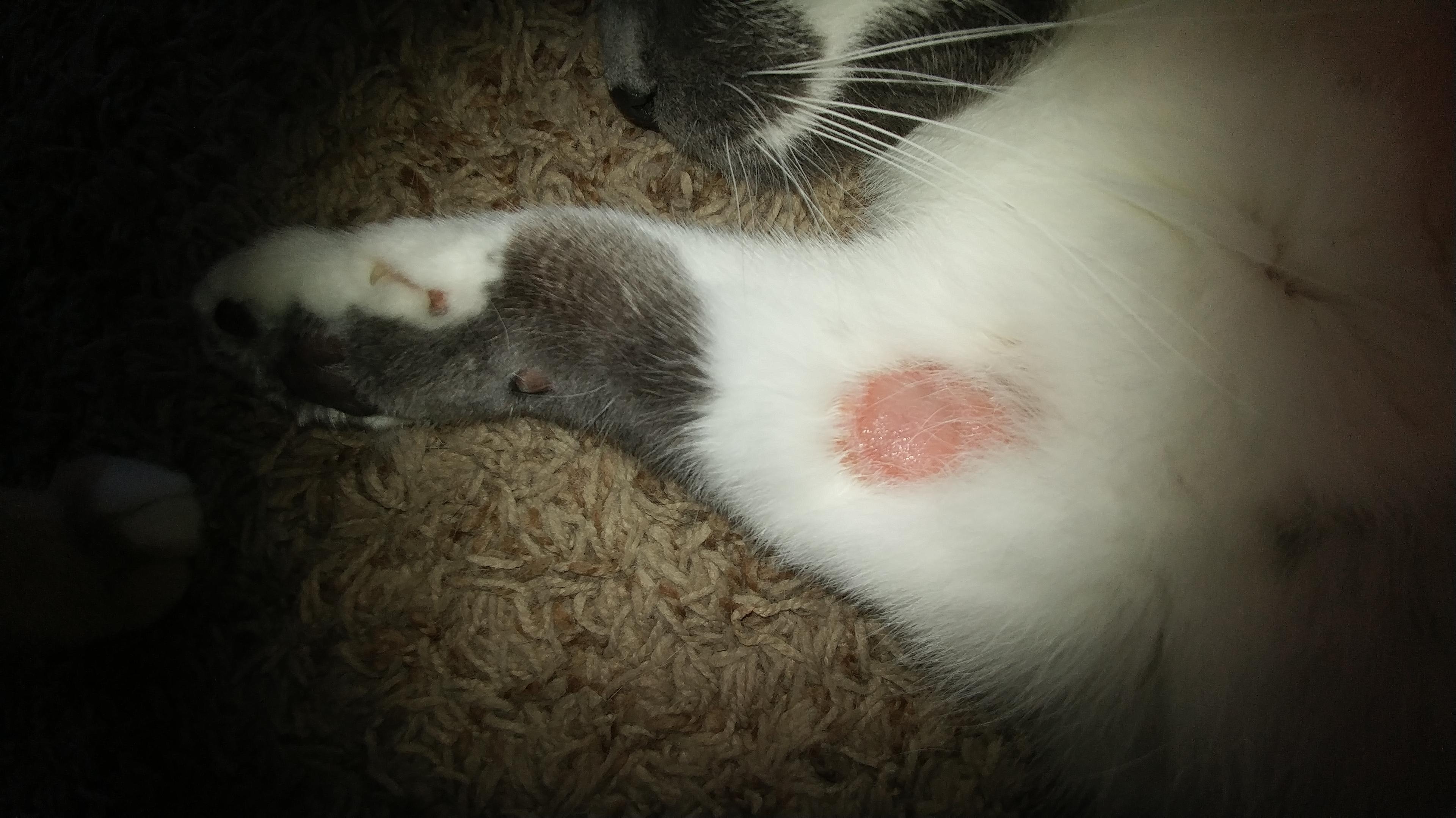 Question details sensitive content