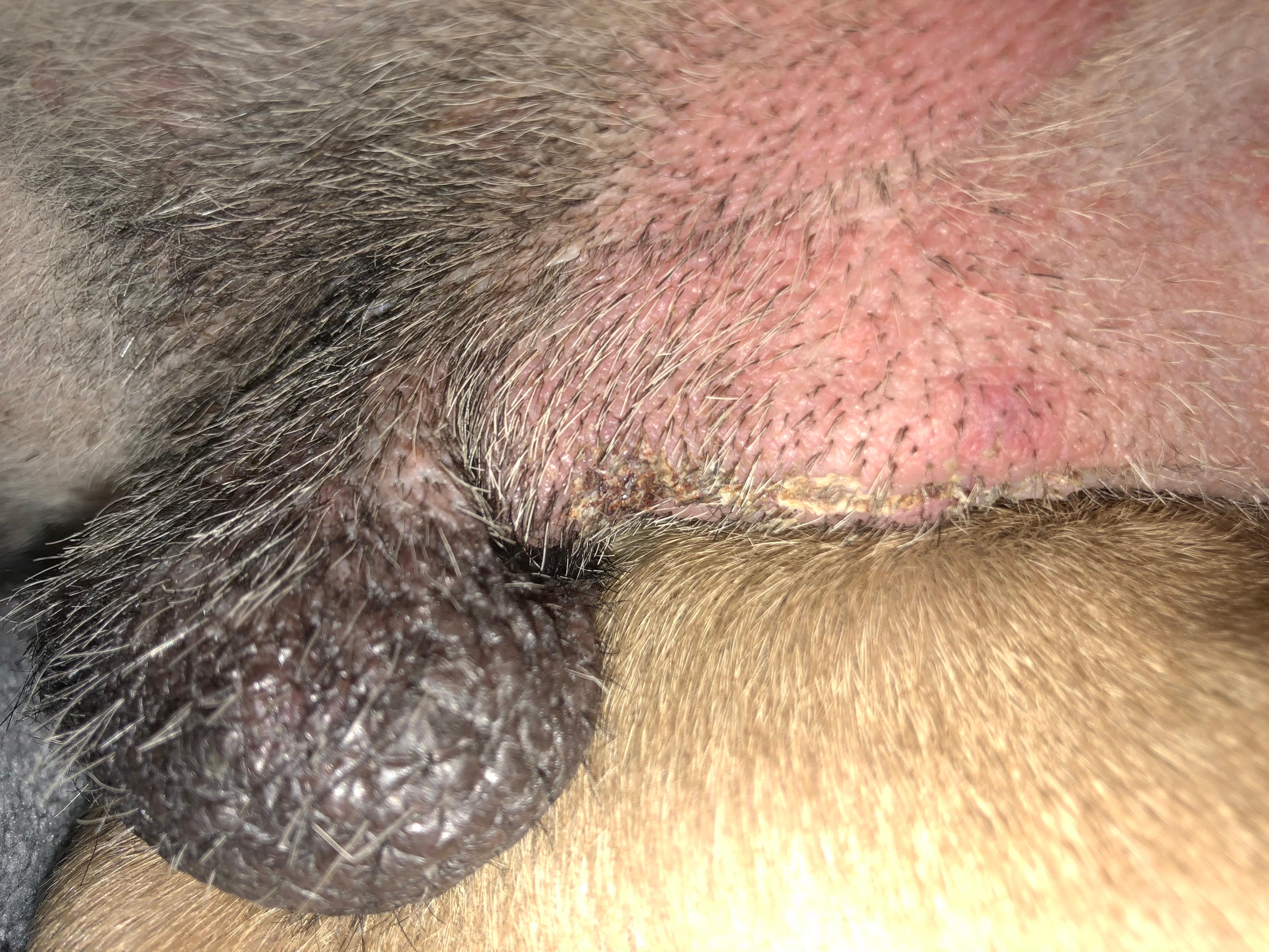 Question details sensitive content