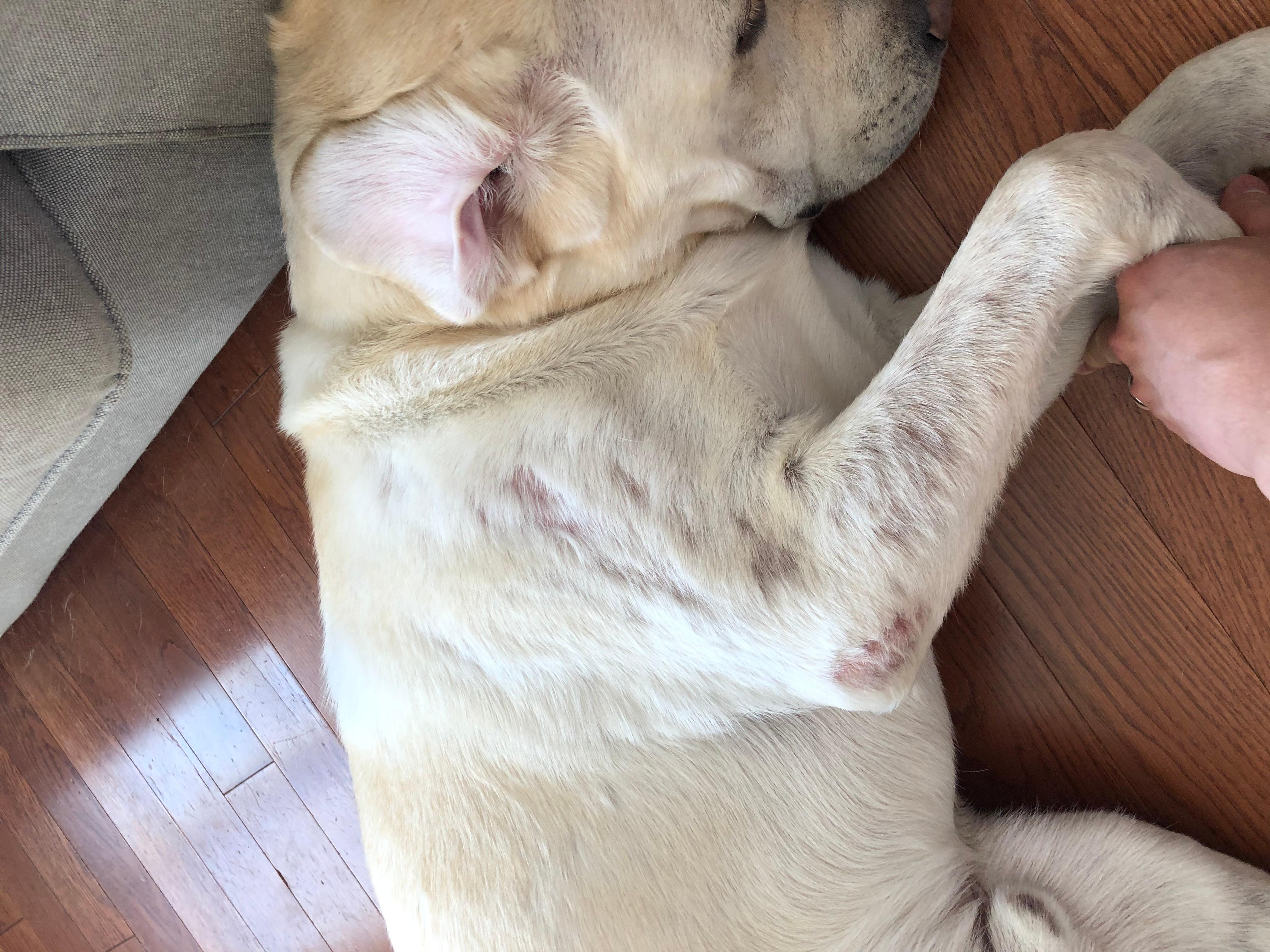 Question details sensitive content