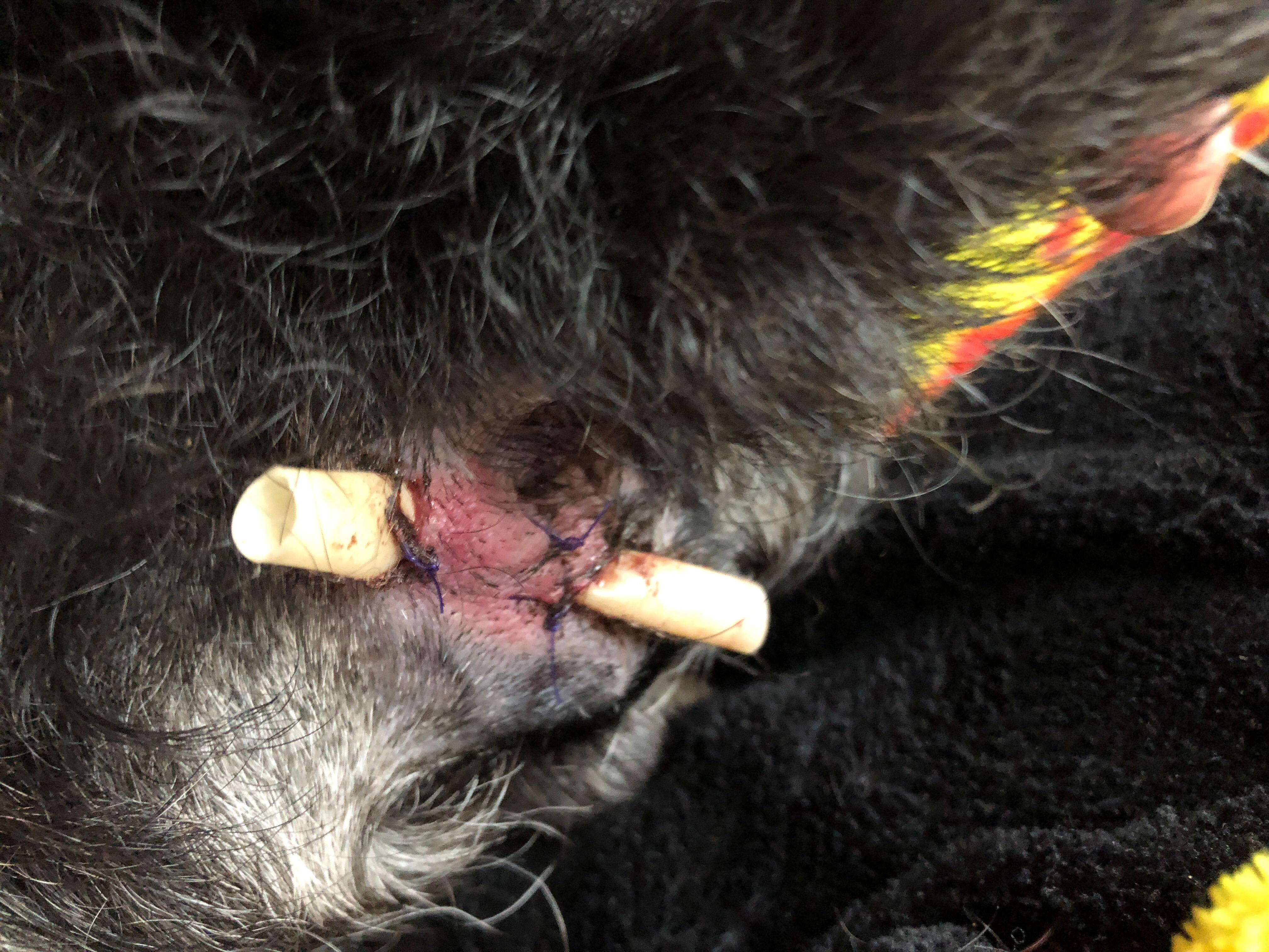 Question details sensitive content