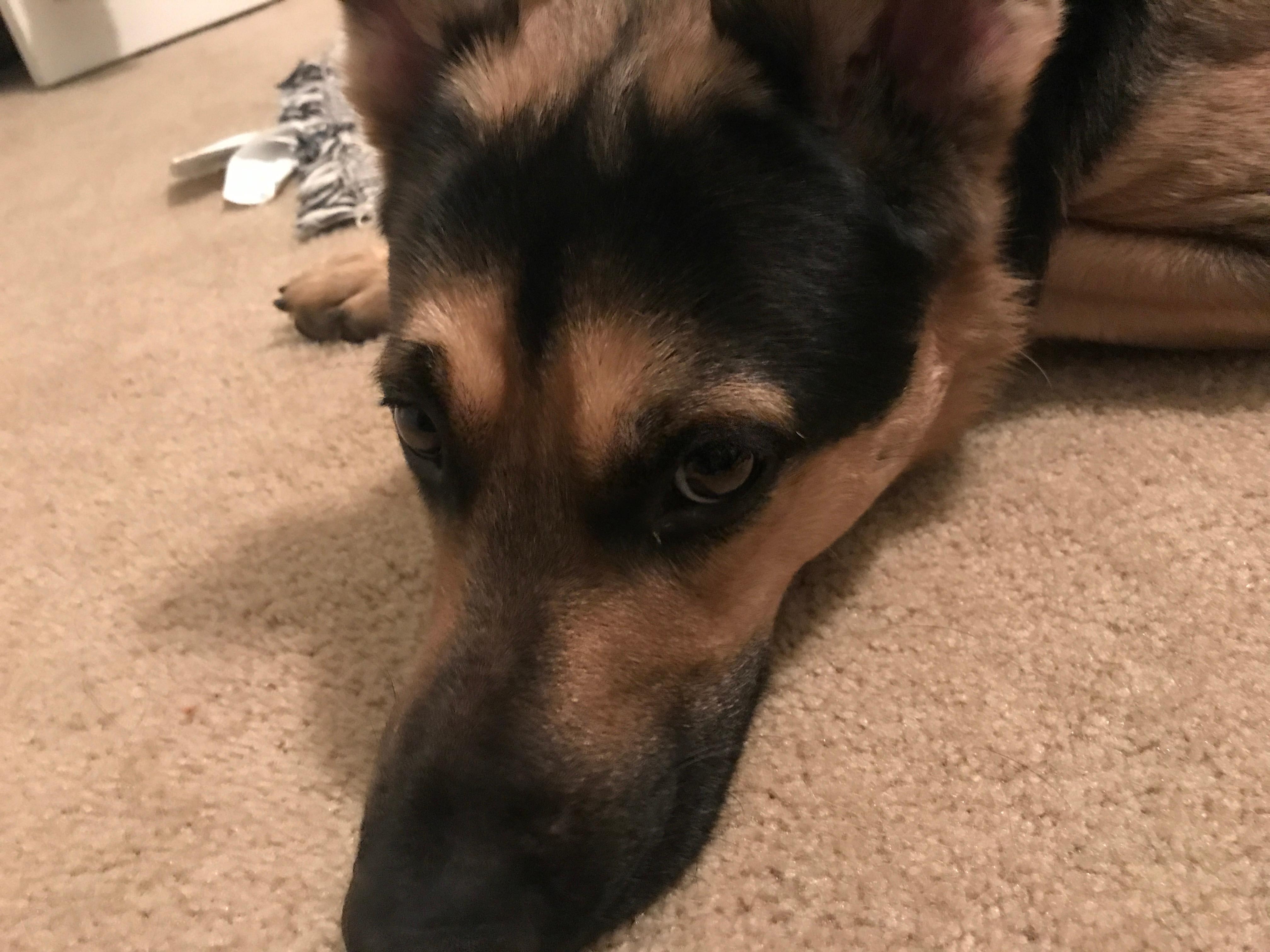 Question details sensitive content