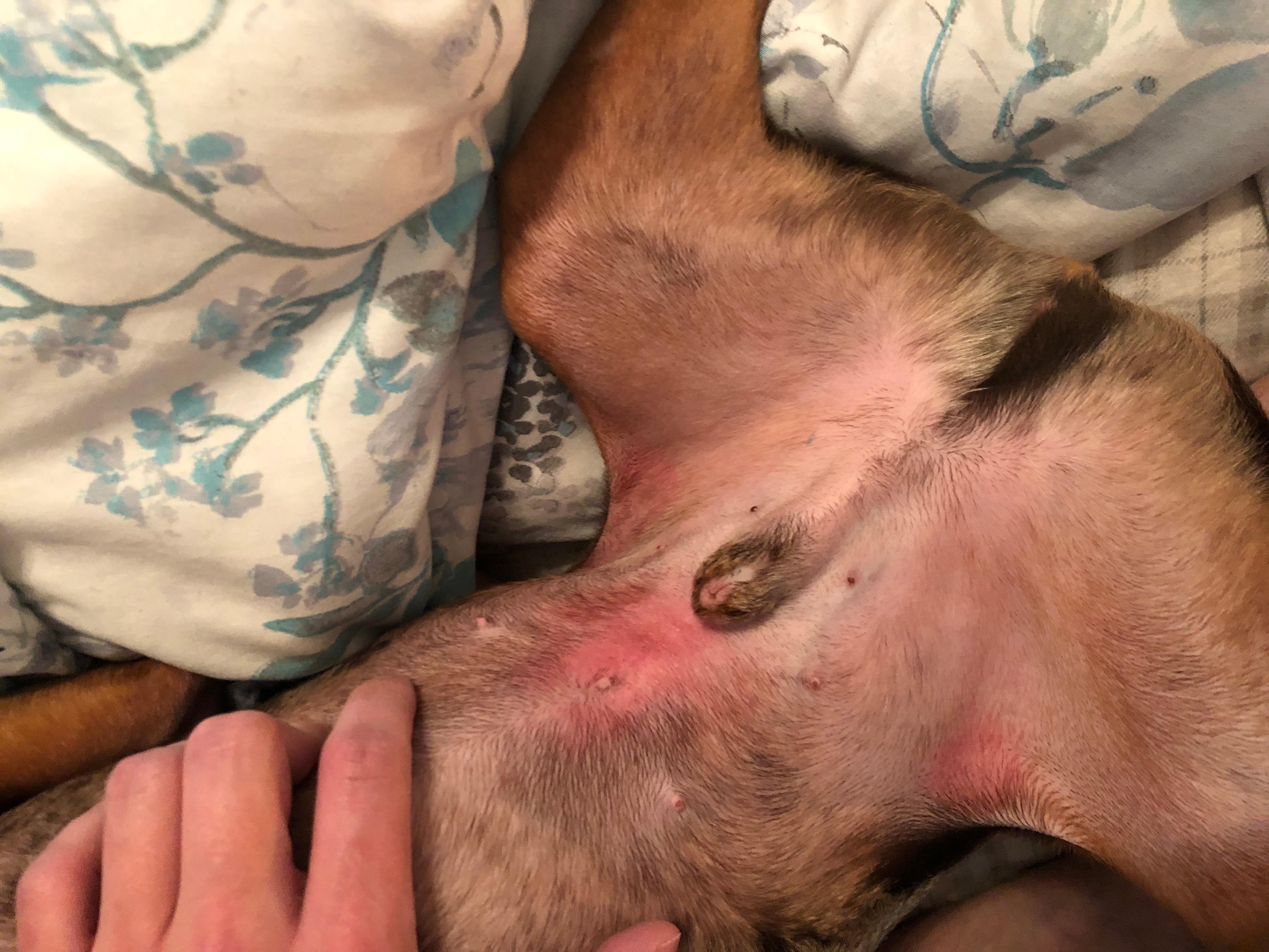 Question details sensitive content