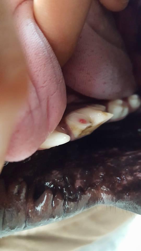 Question details sensitive content