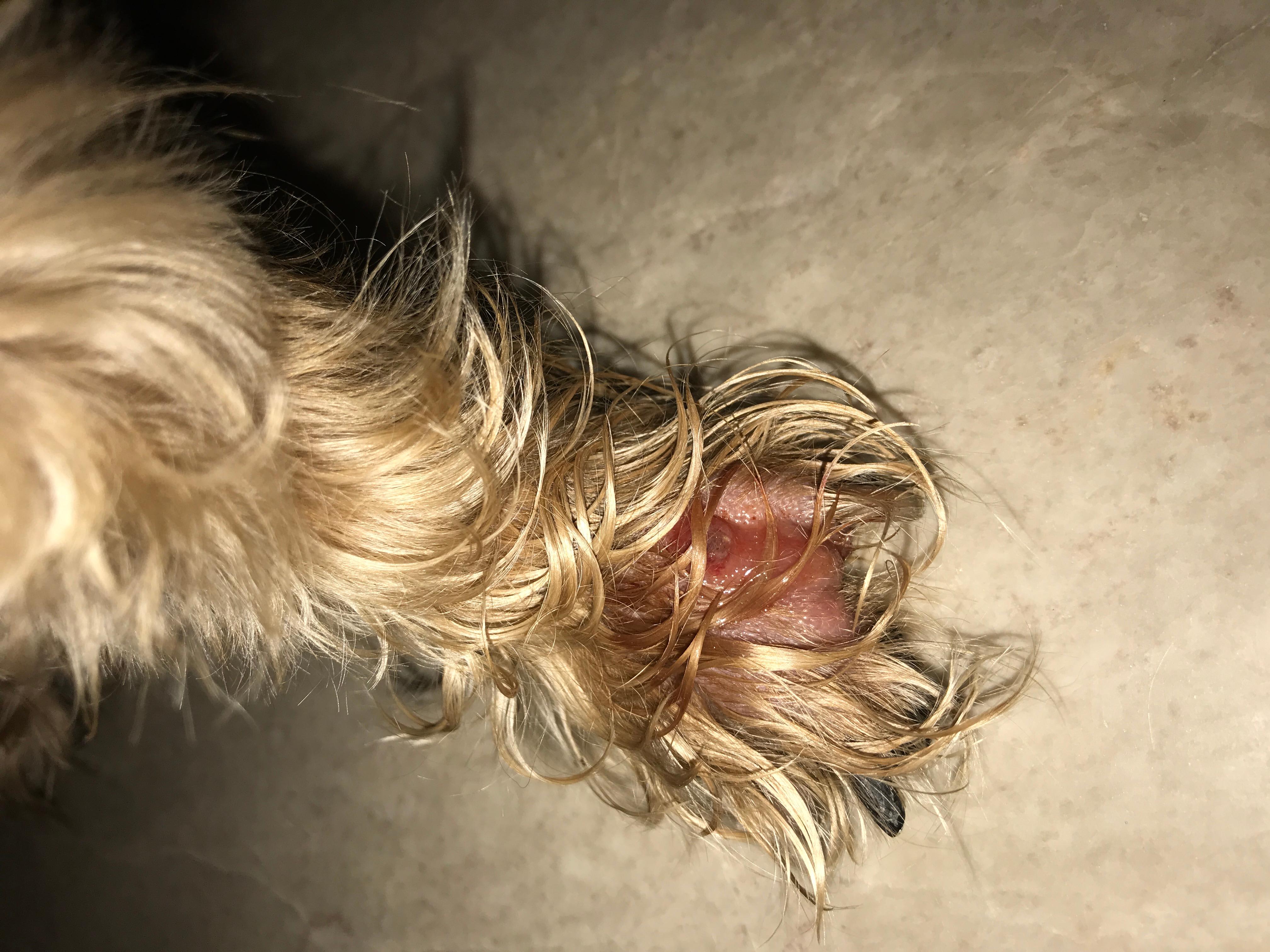 Question details sensitive content