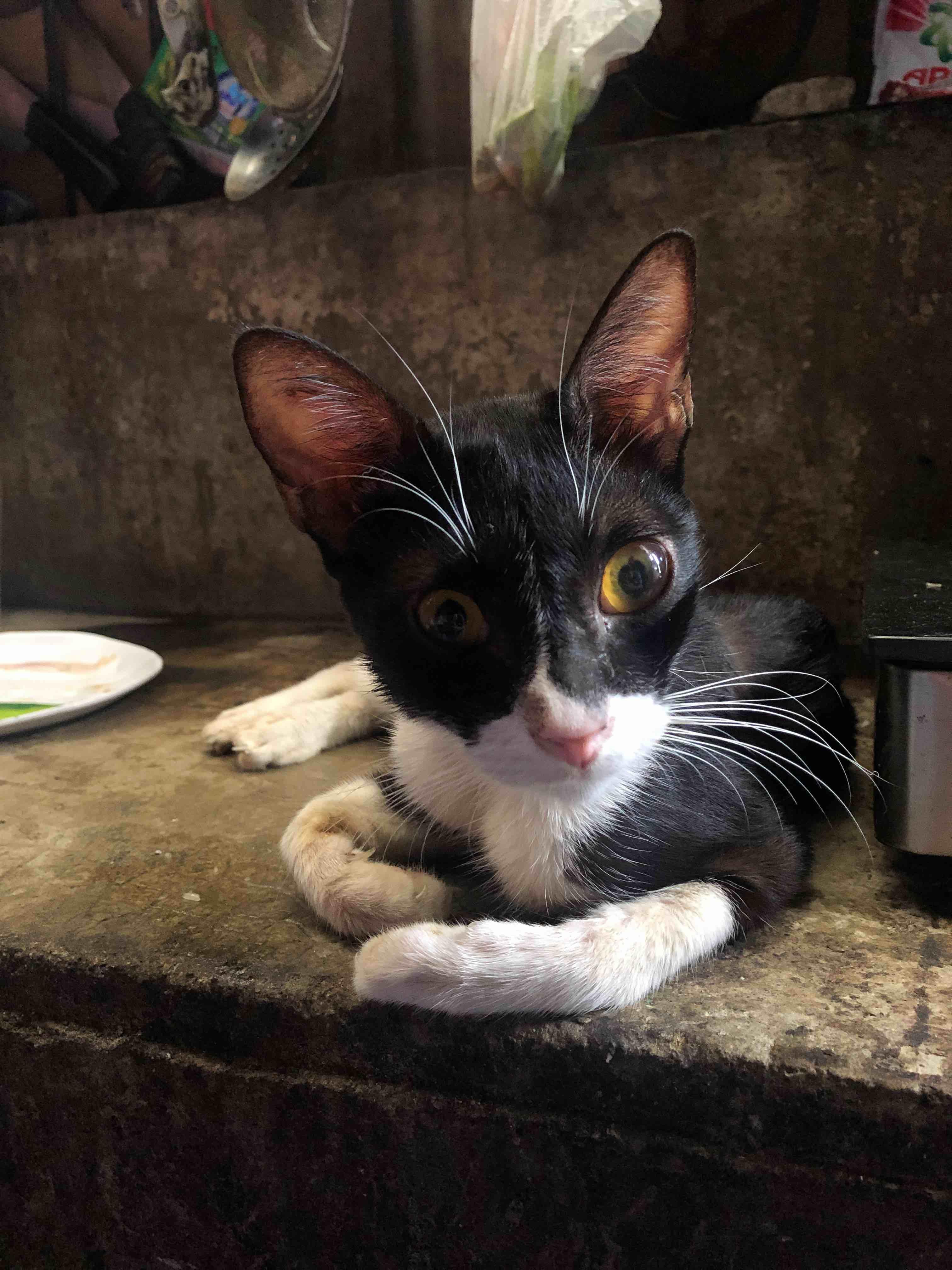 Question details sensitive content