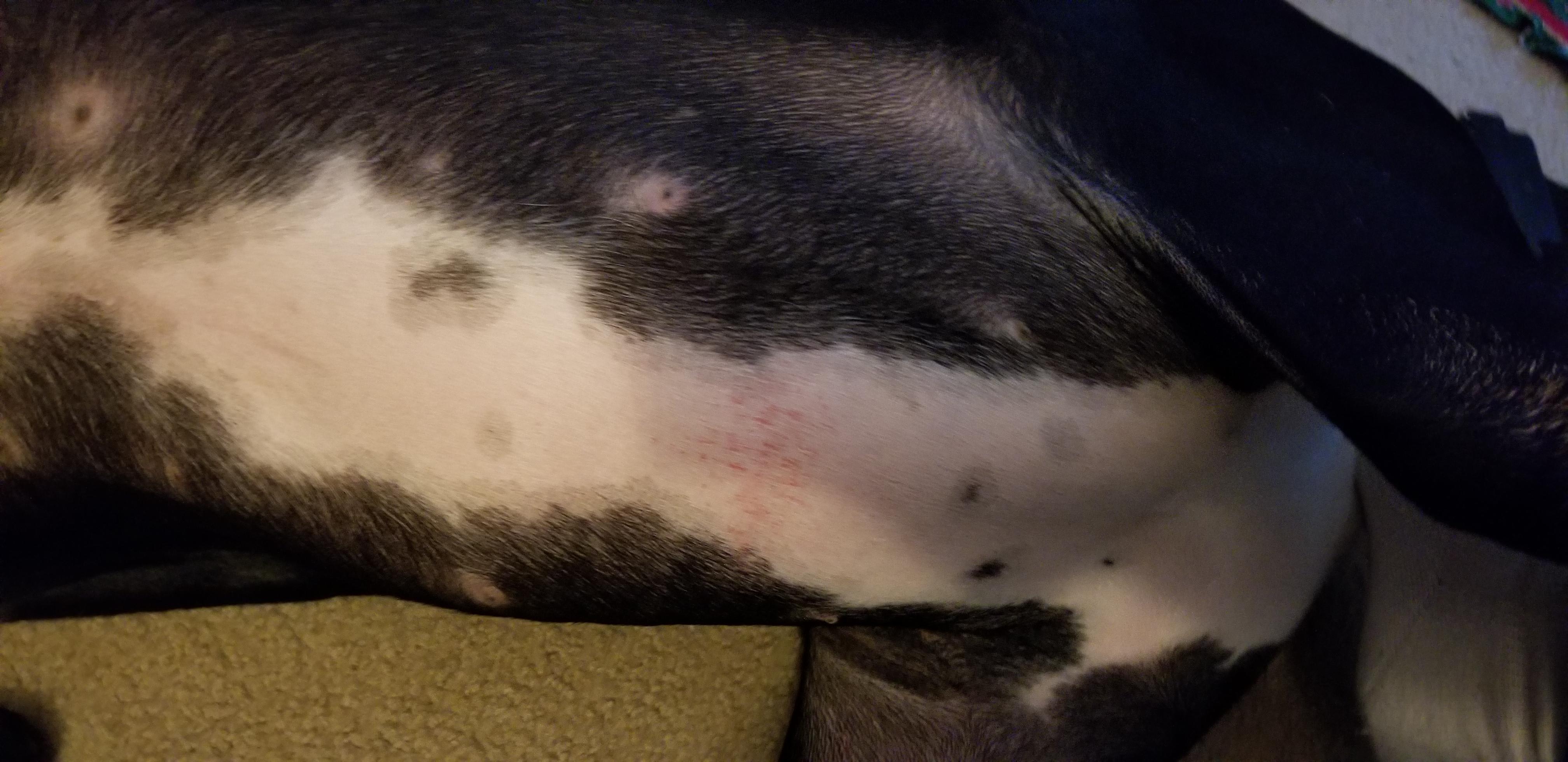 Question details sensitive content