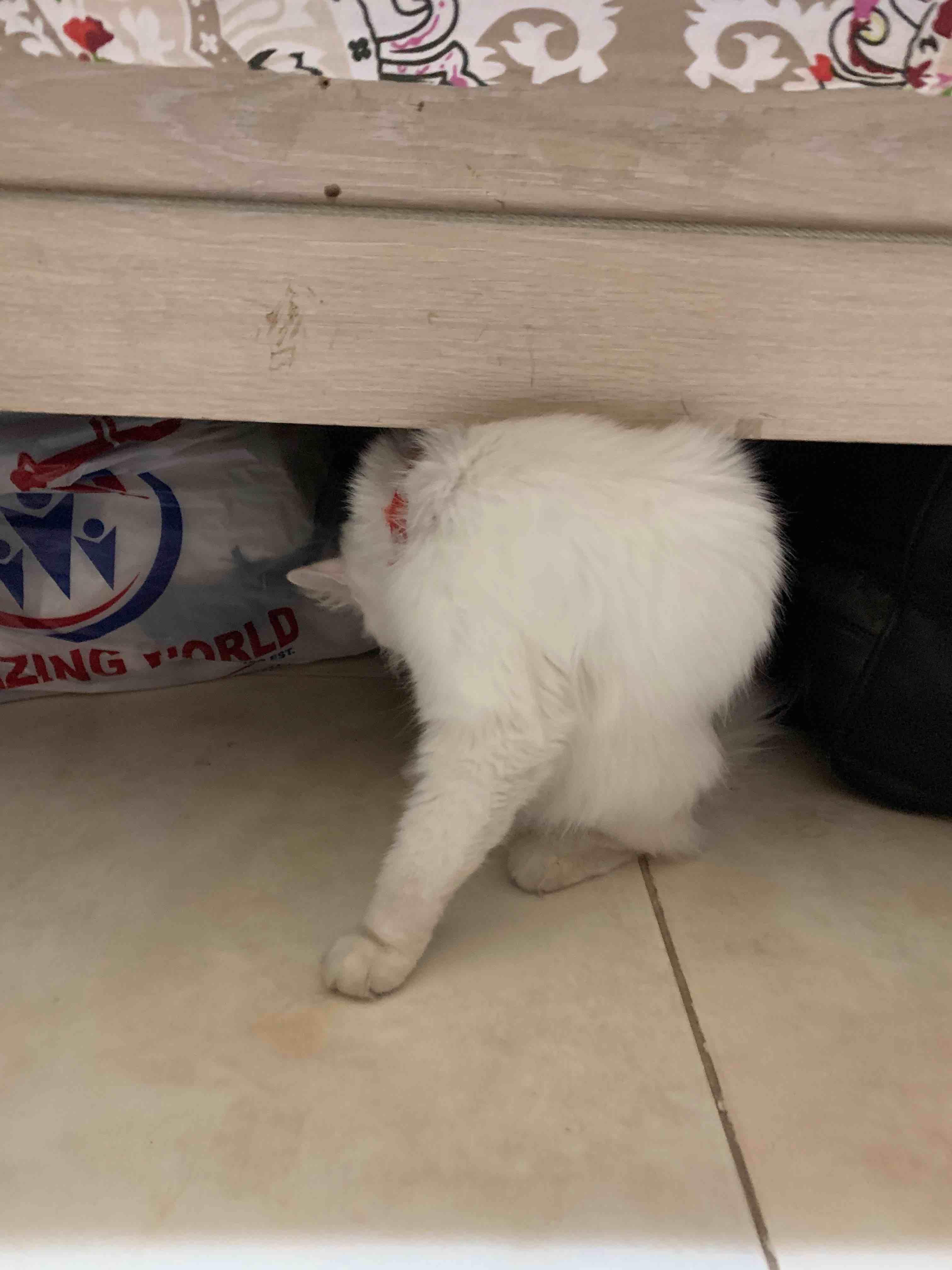 Question details sensitive content