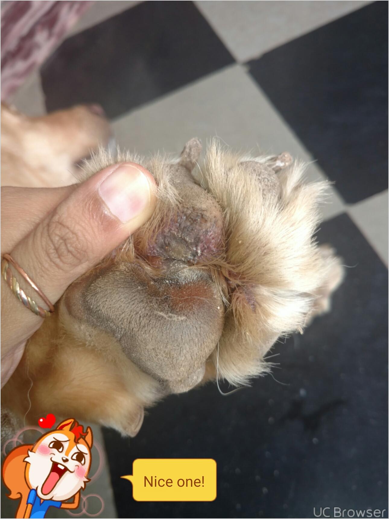 Question details sensitive content