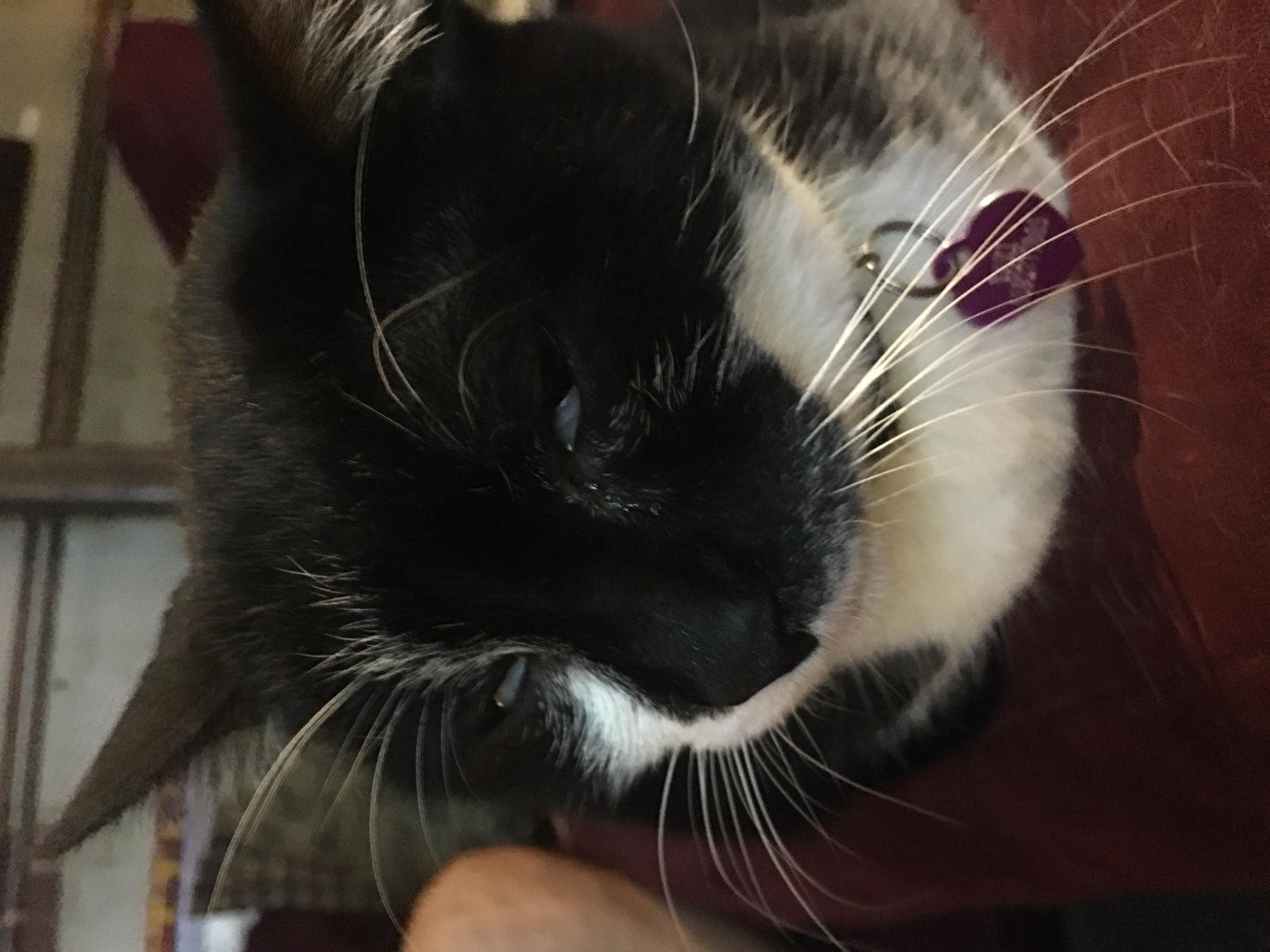 Question details sensitive content