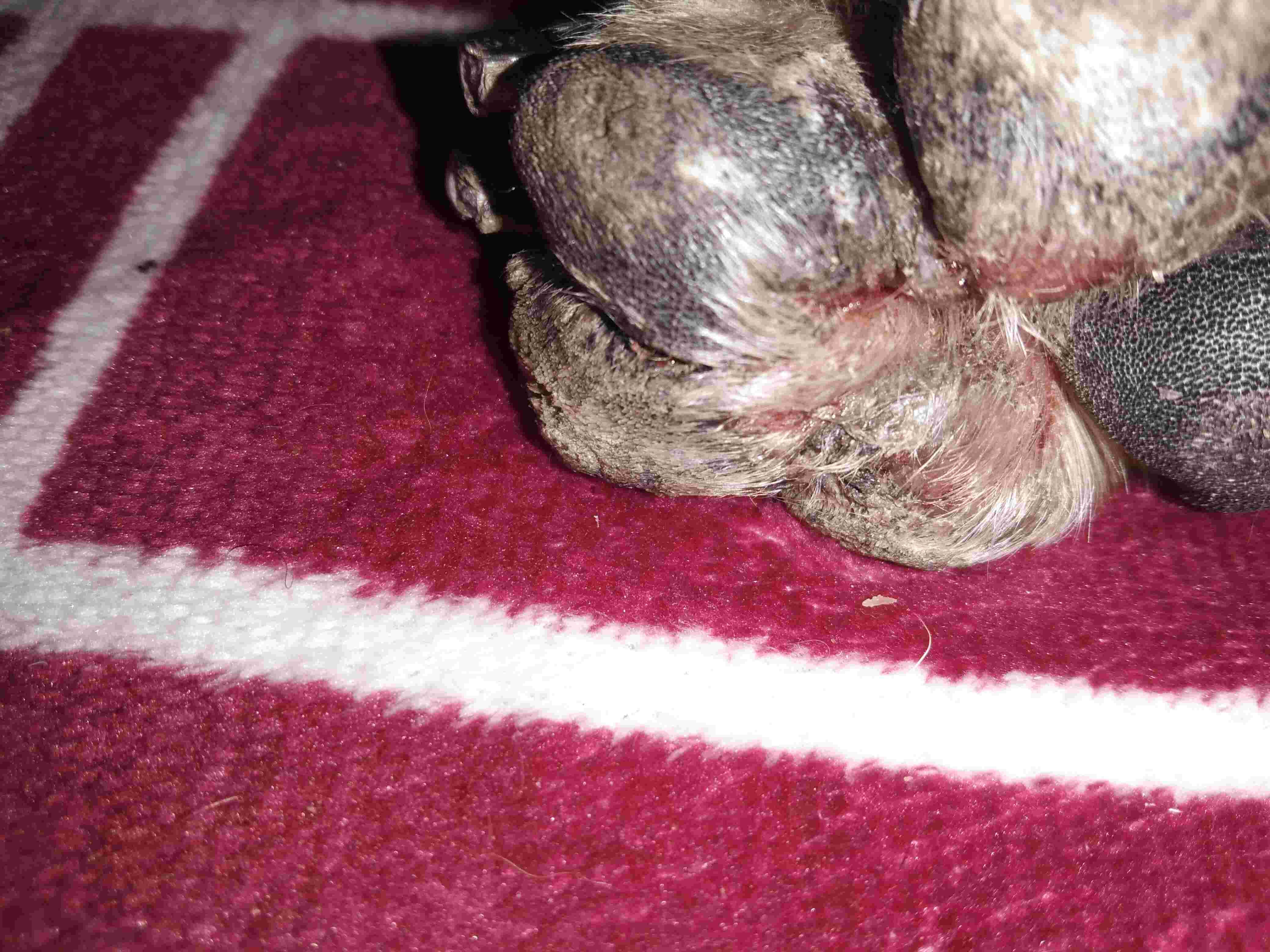 Question details sensitive content