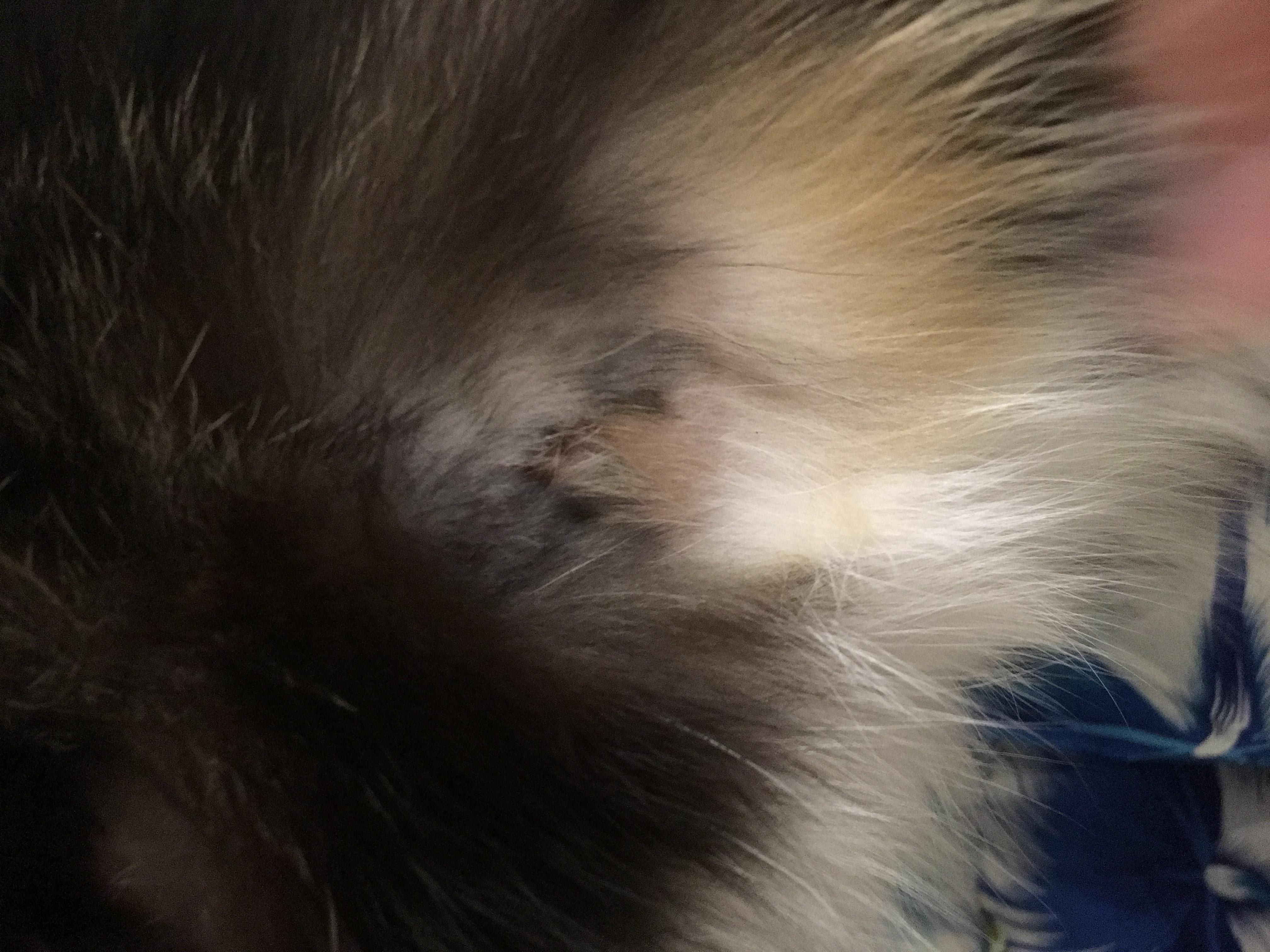 Question details sensitive content