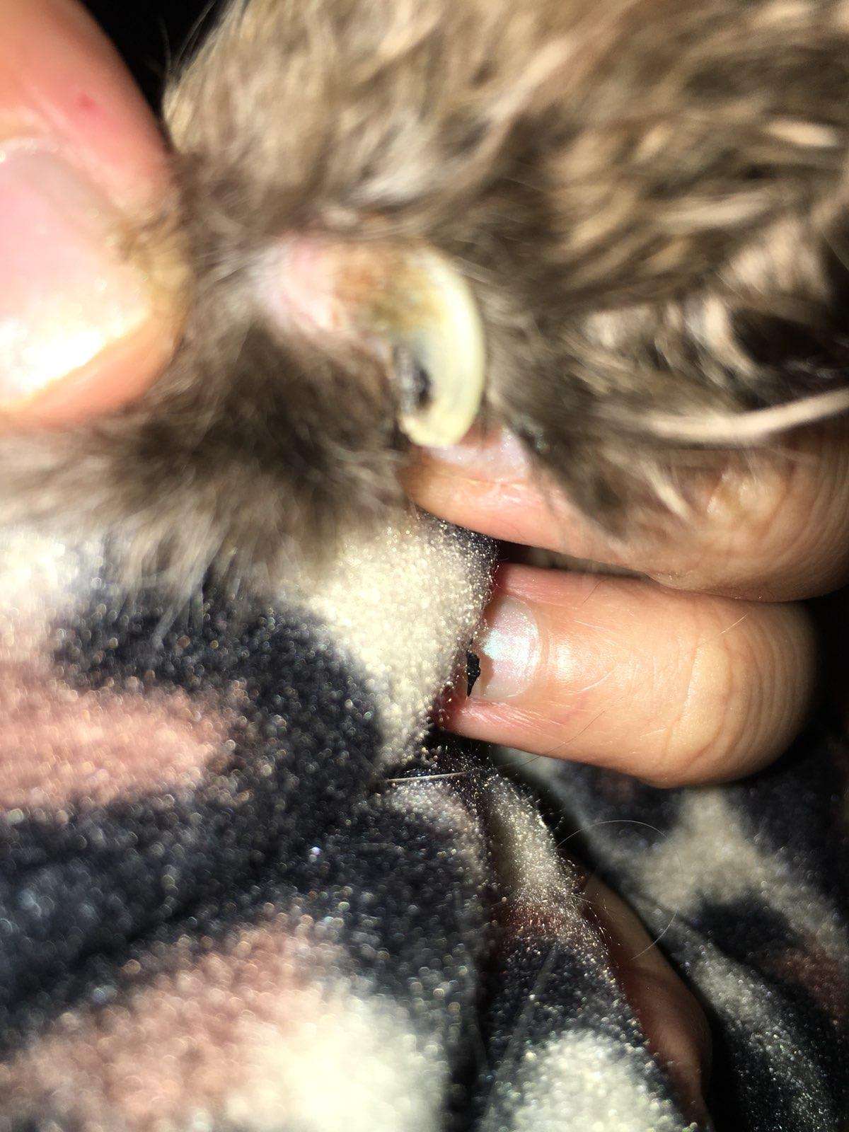 Question details sensitive content