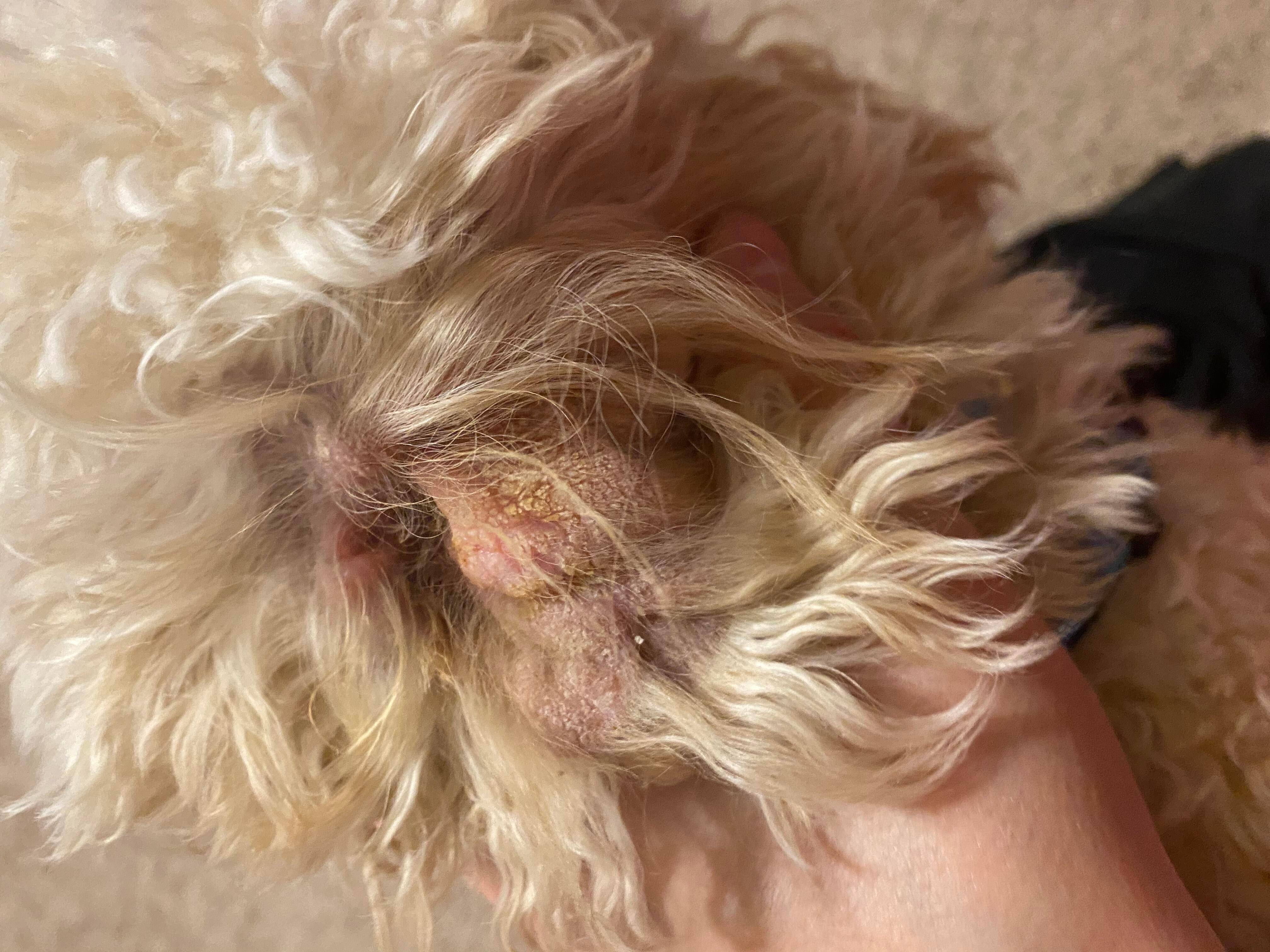 Question details sensitive content