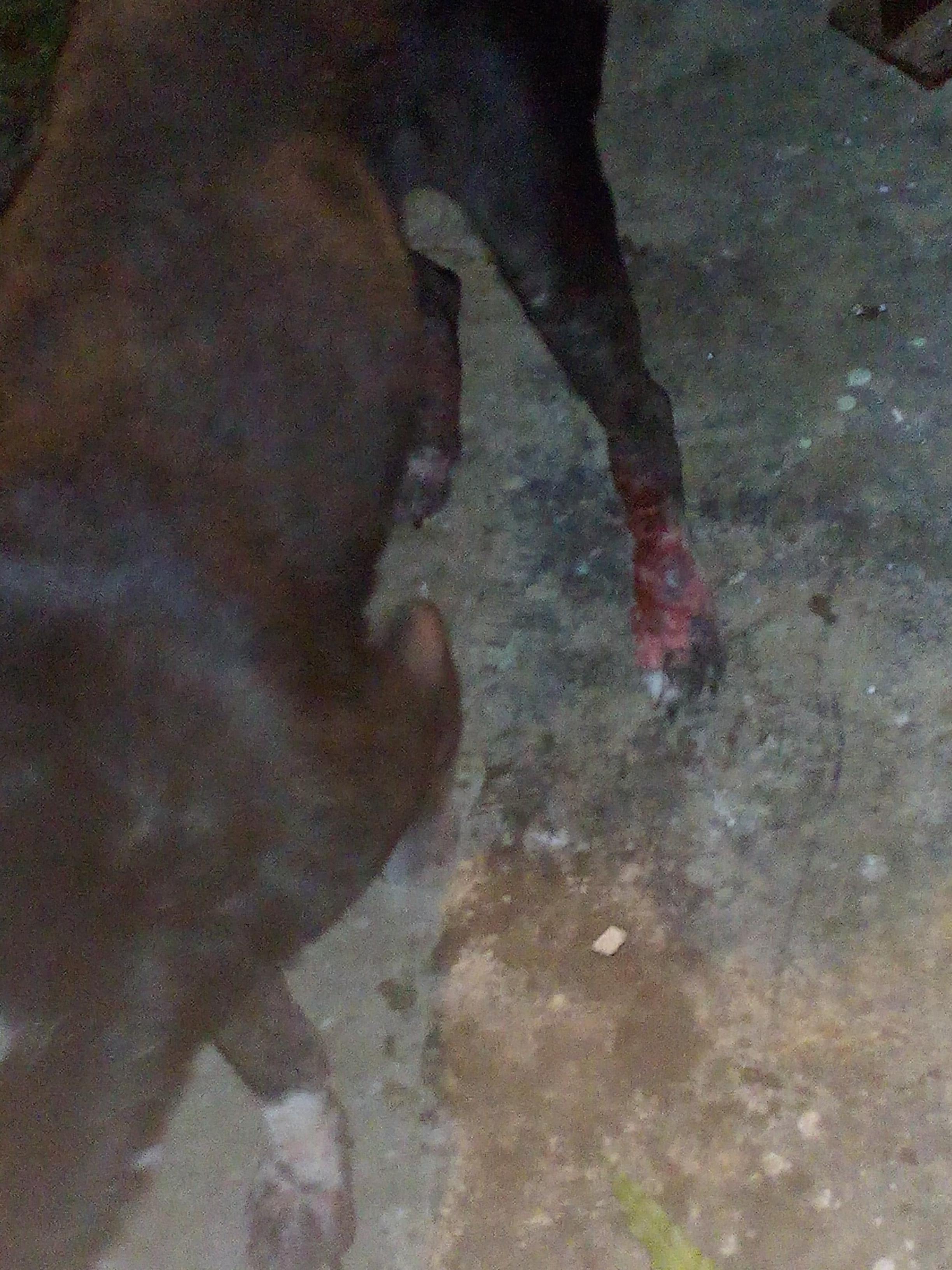 Question details sensitive content