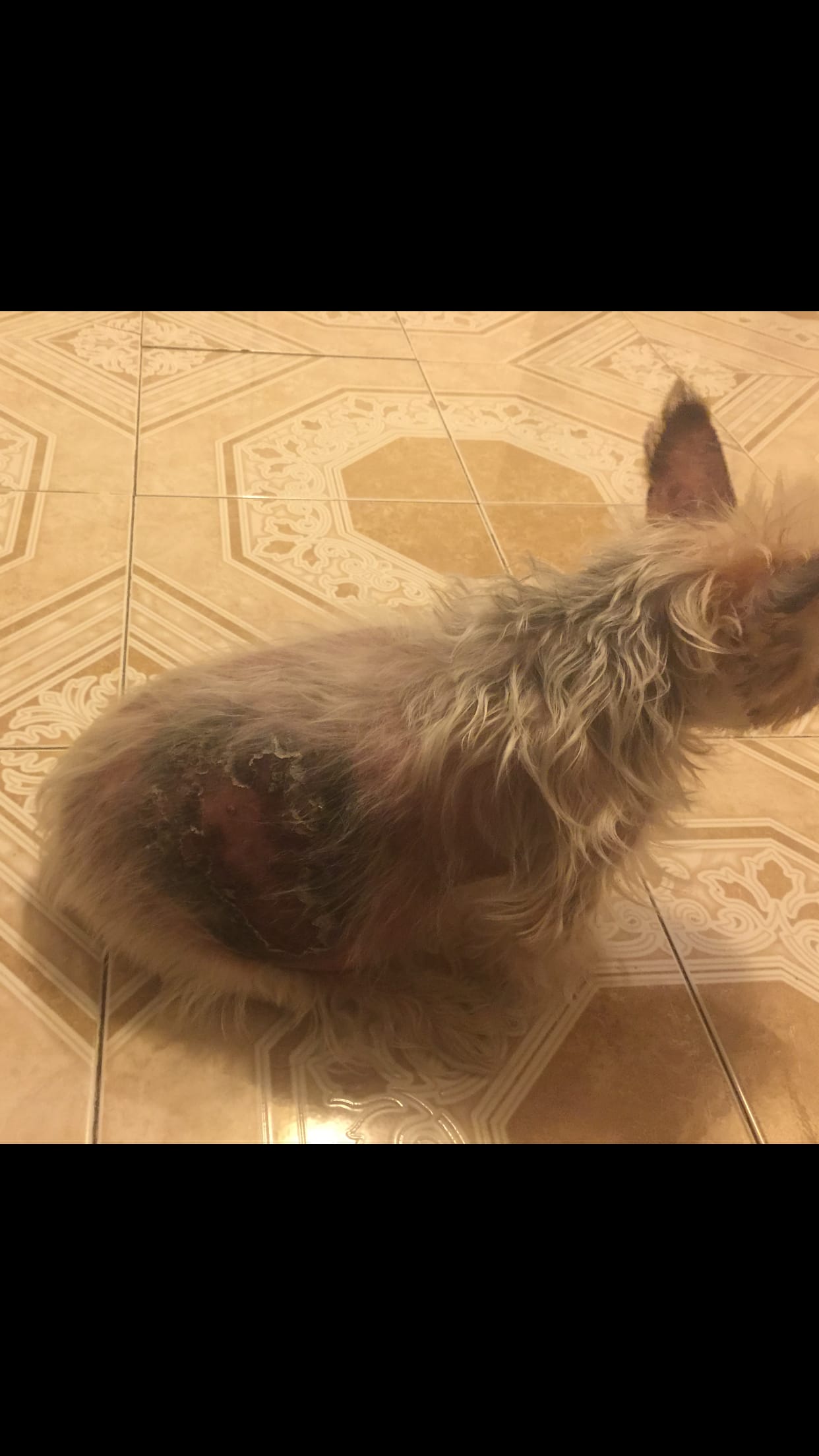 Question details sensitive content