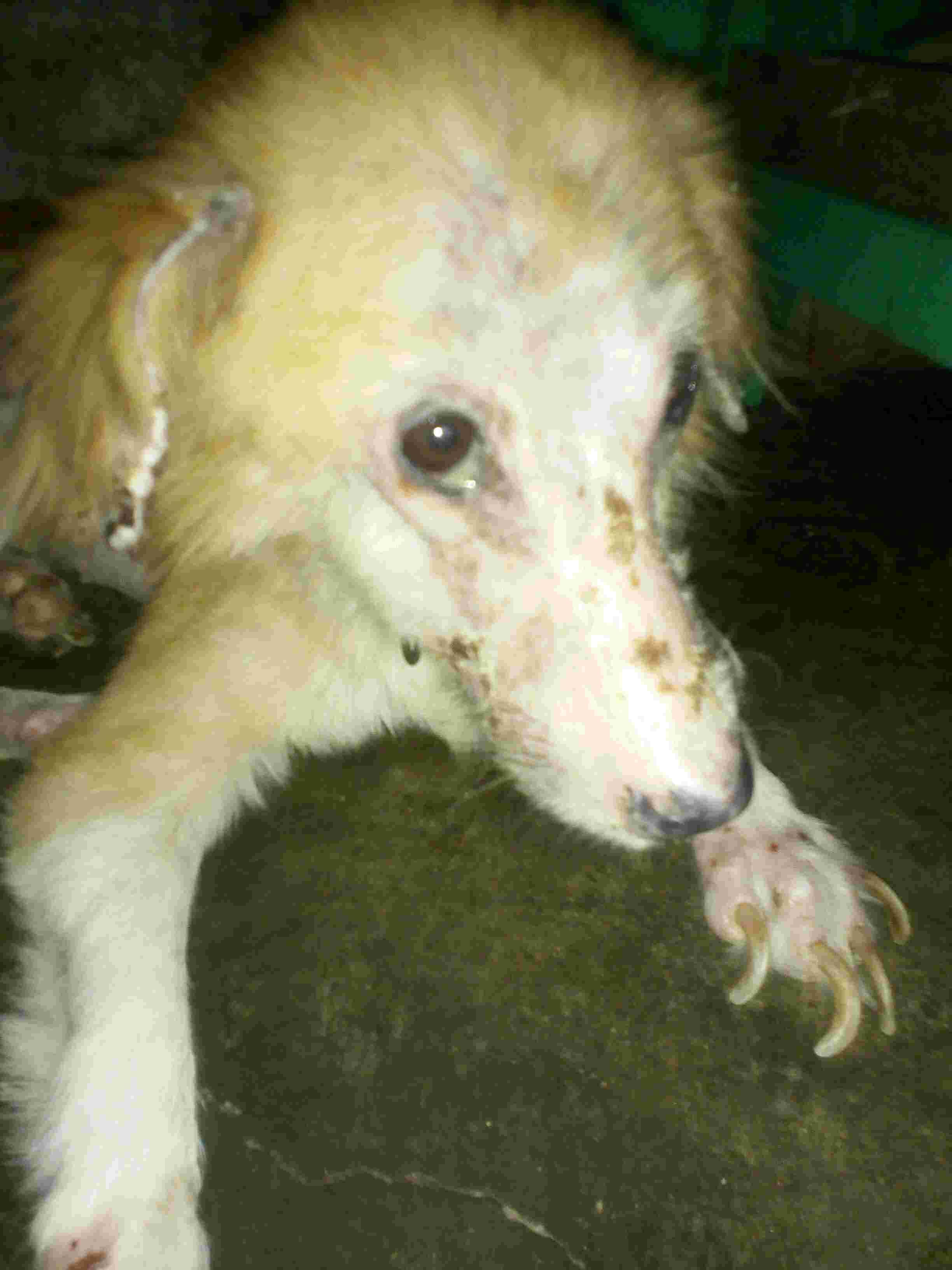 Question details sensitive content