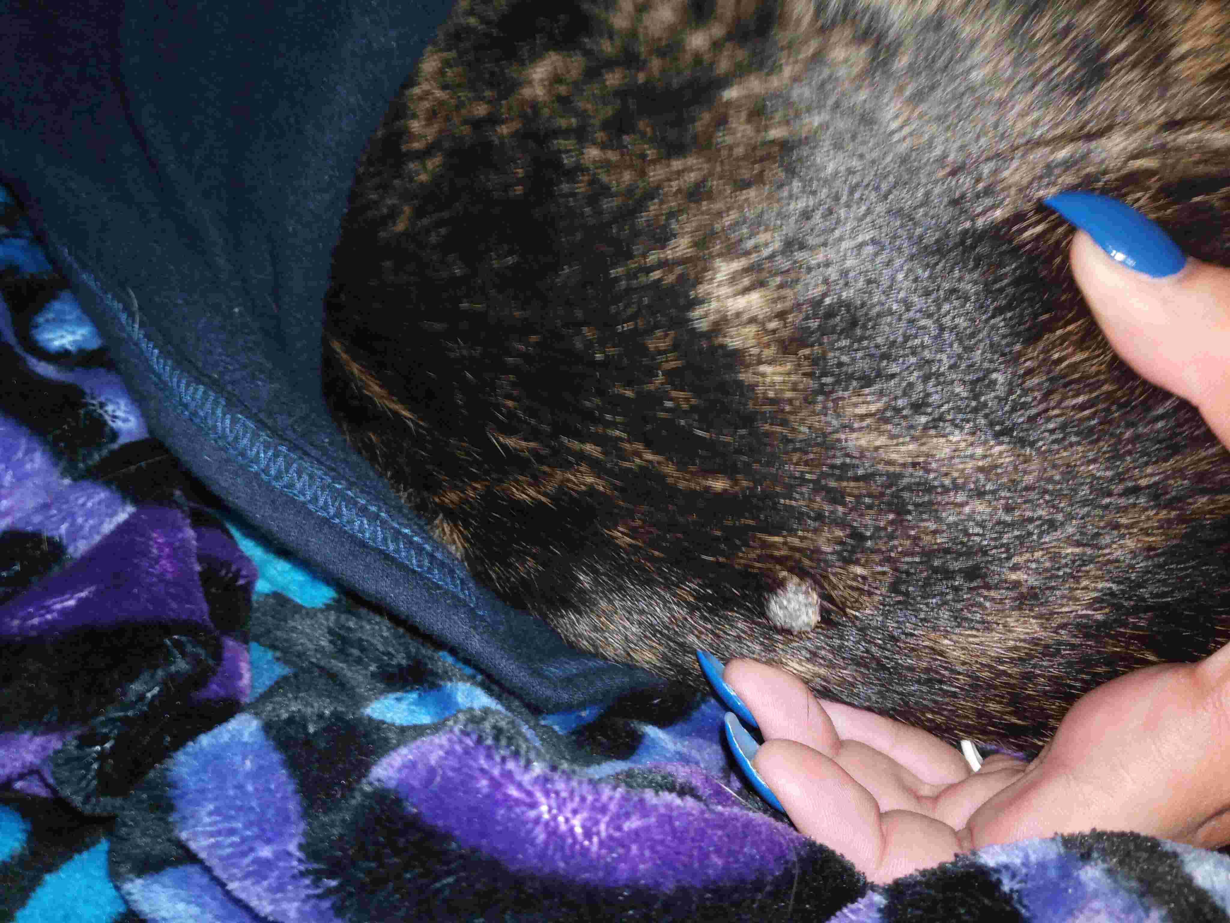 Question details sensitive content