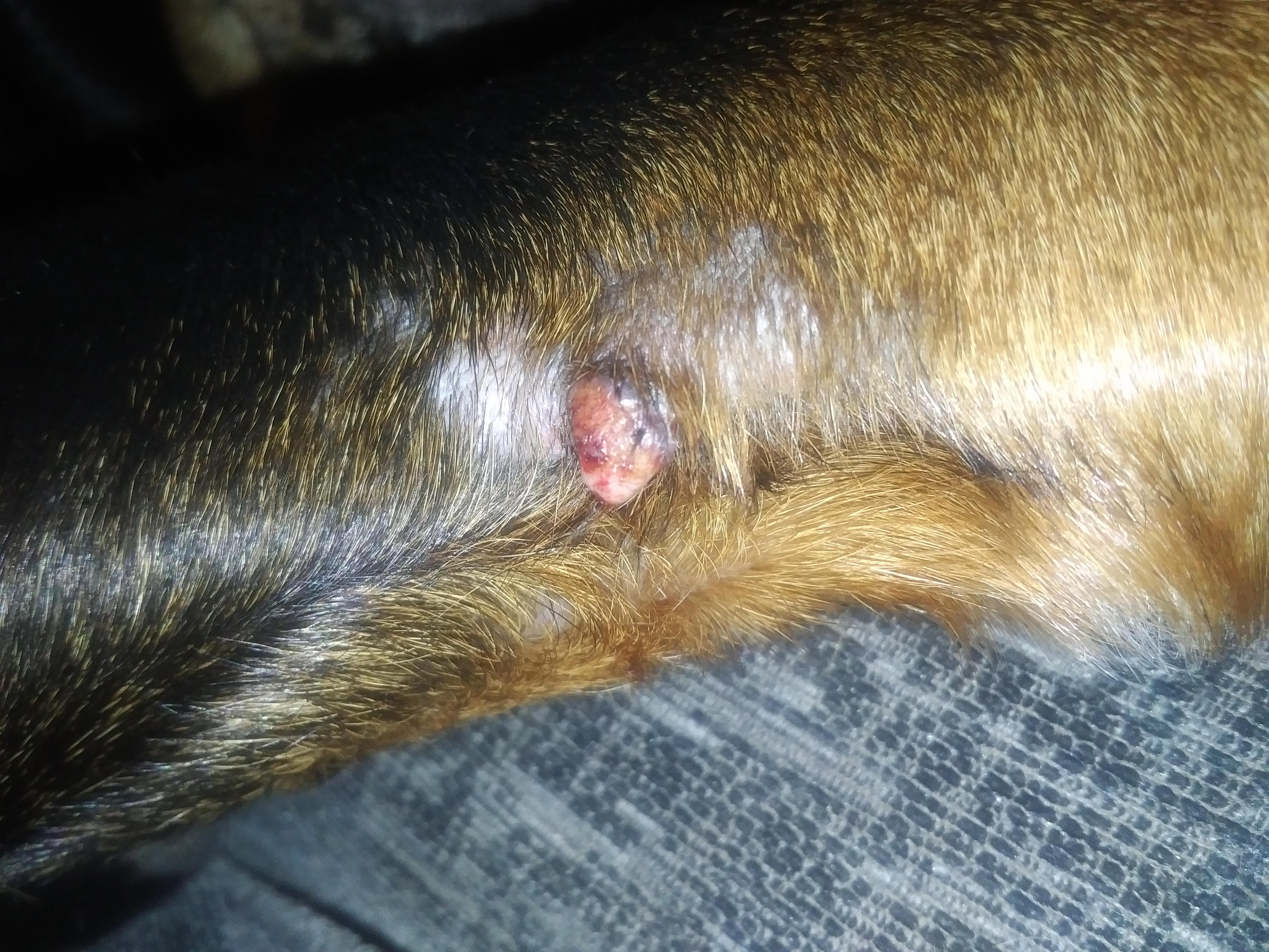 Question details sensitive content