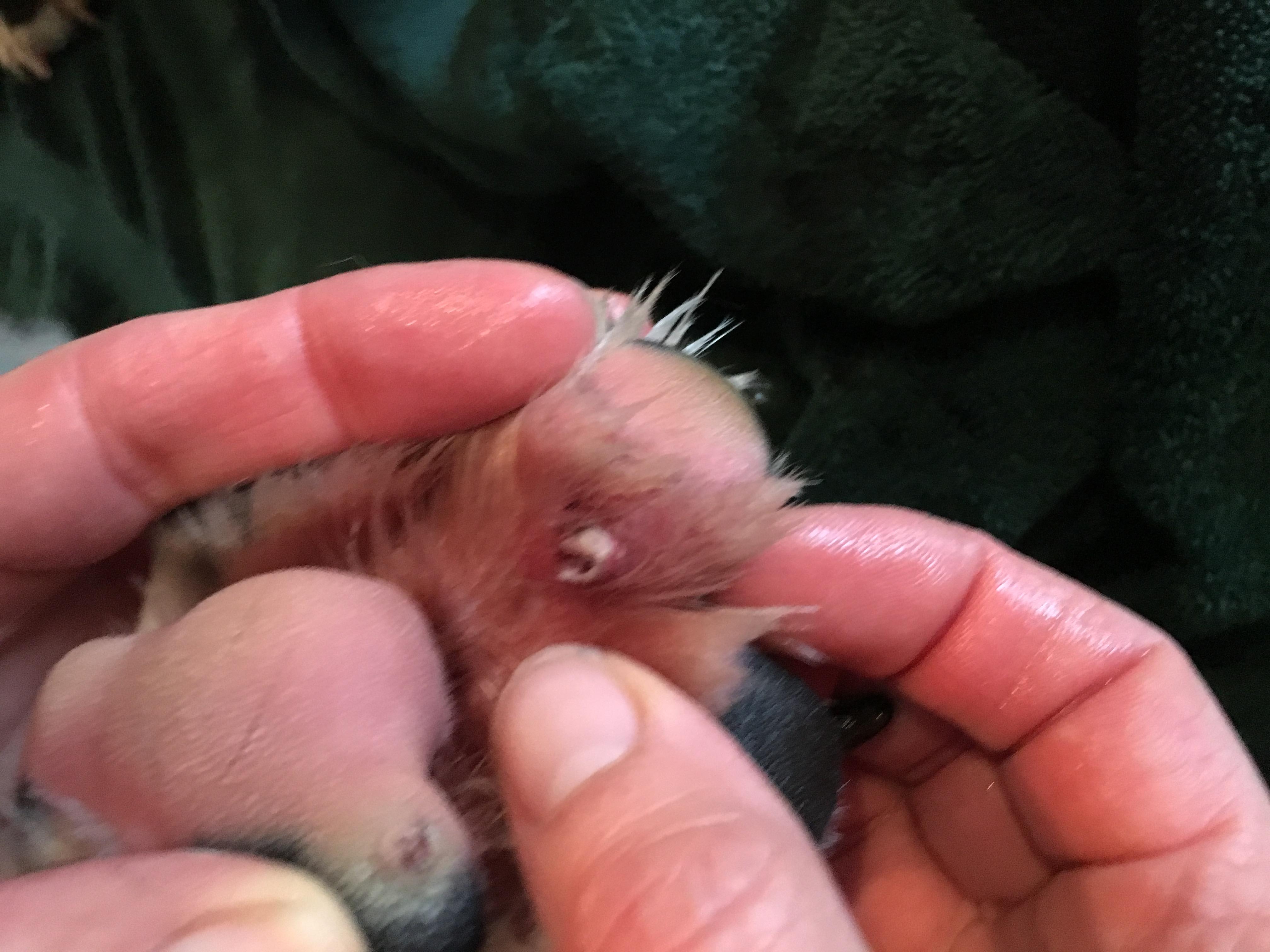 Question details sensitive content