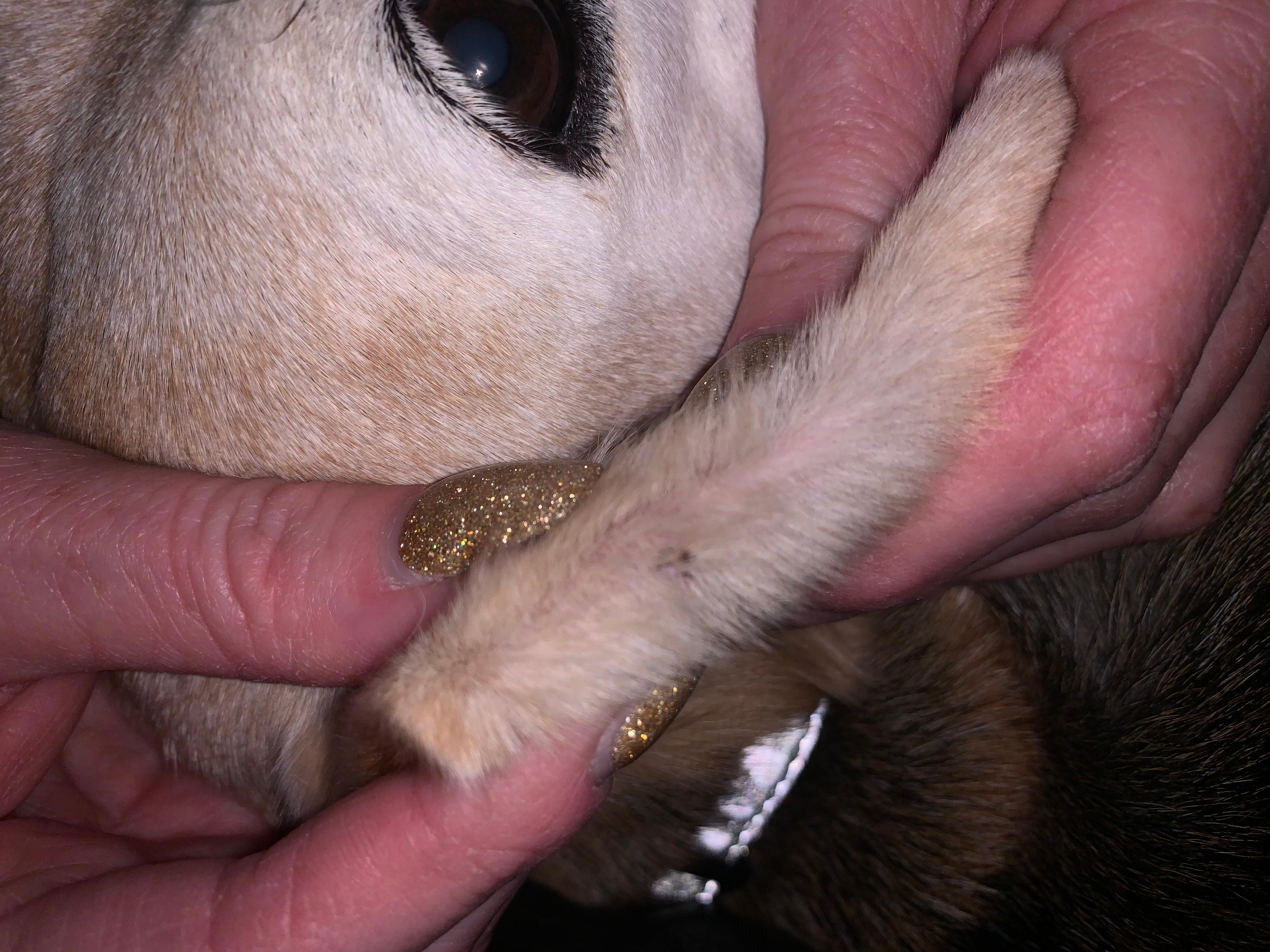 Question details sensitive content