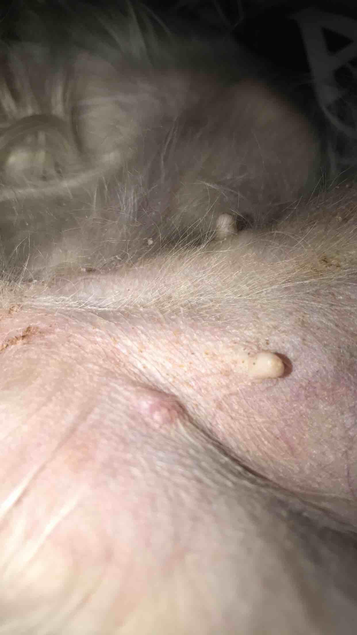 Question details sensitive content