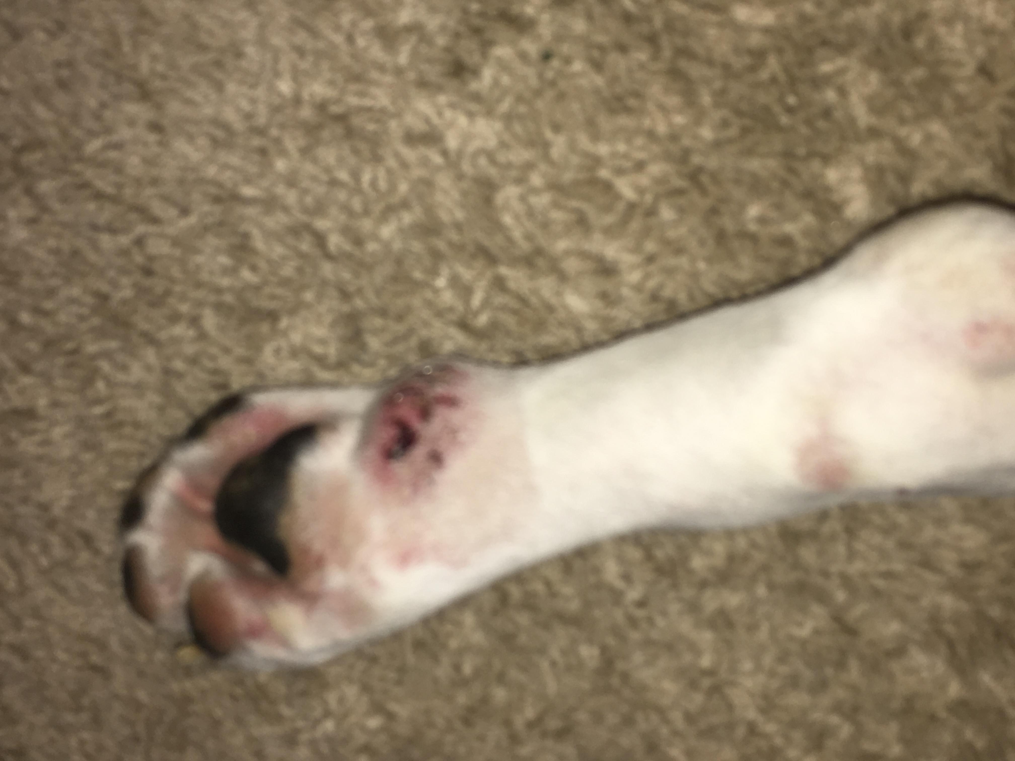 Question details sensitive content