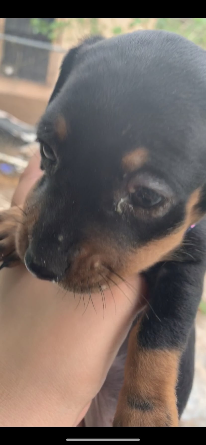 Question details sensitive content