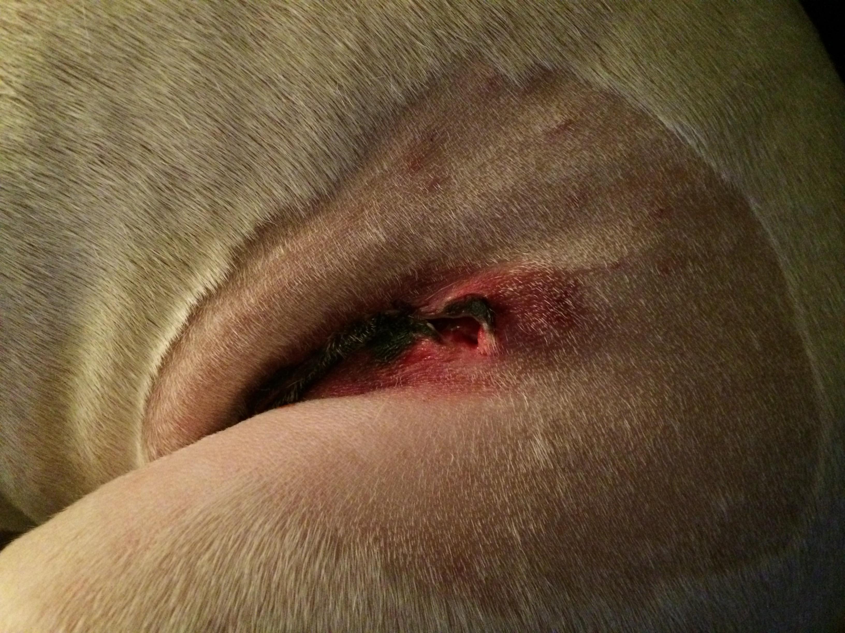 Question details sensitive content