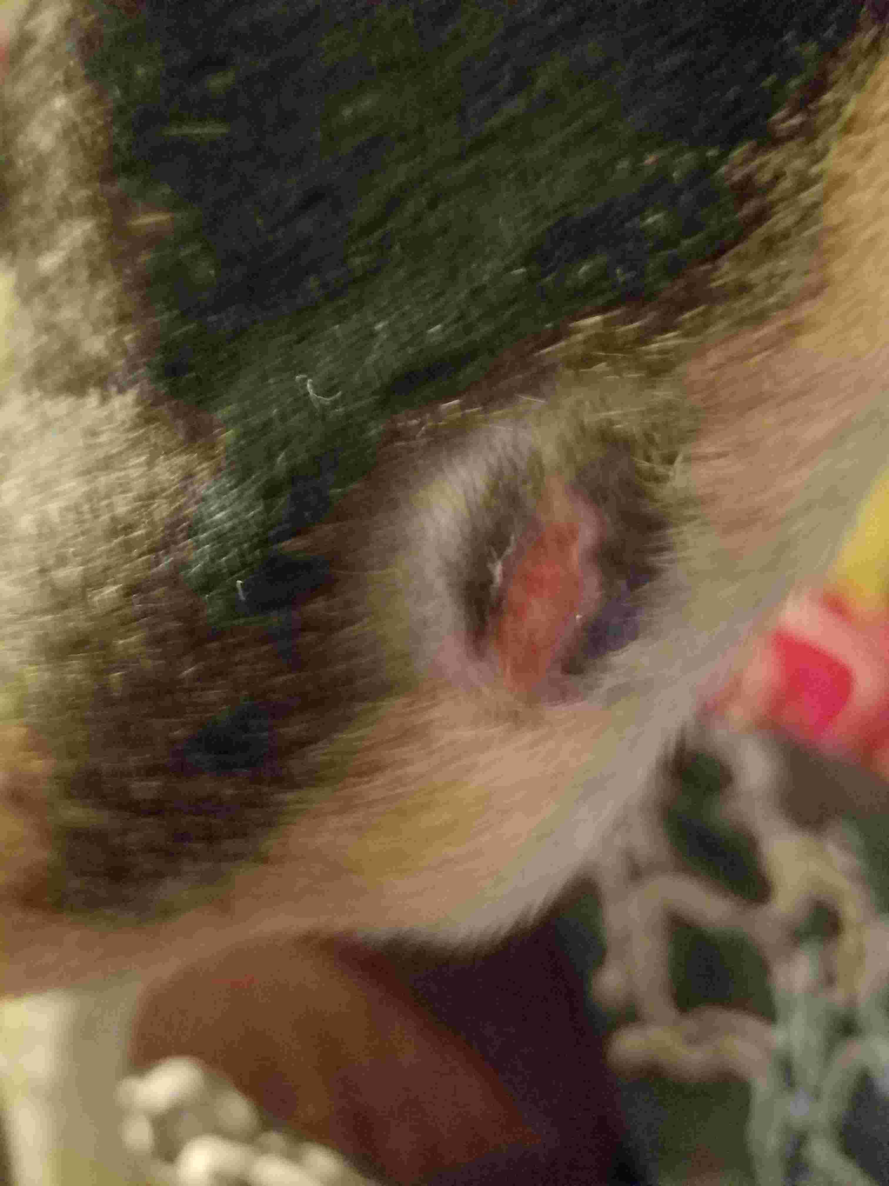 Question details sensitive content