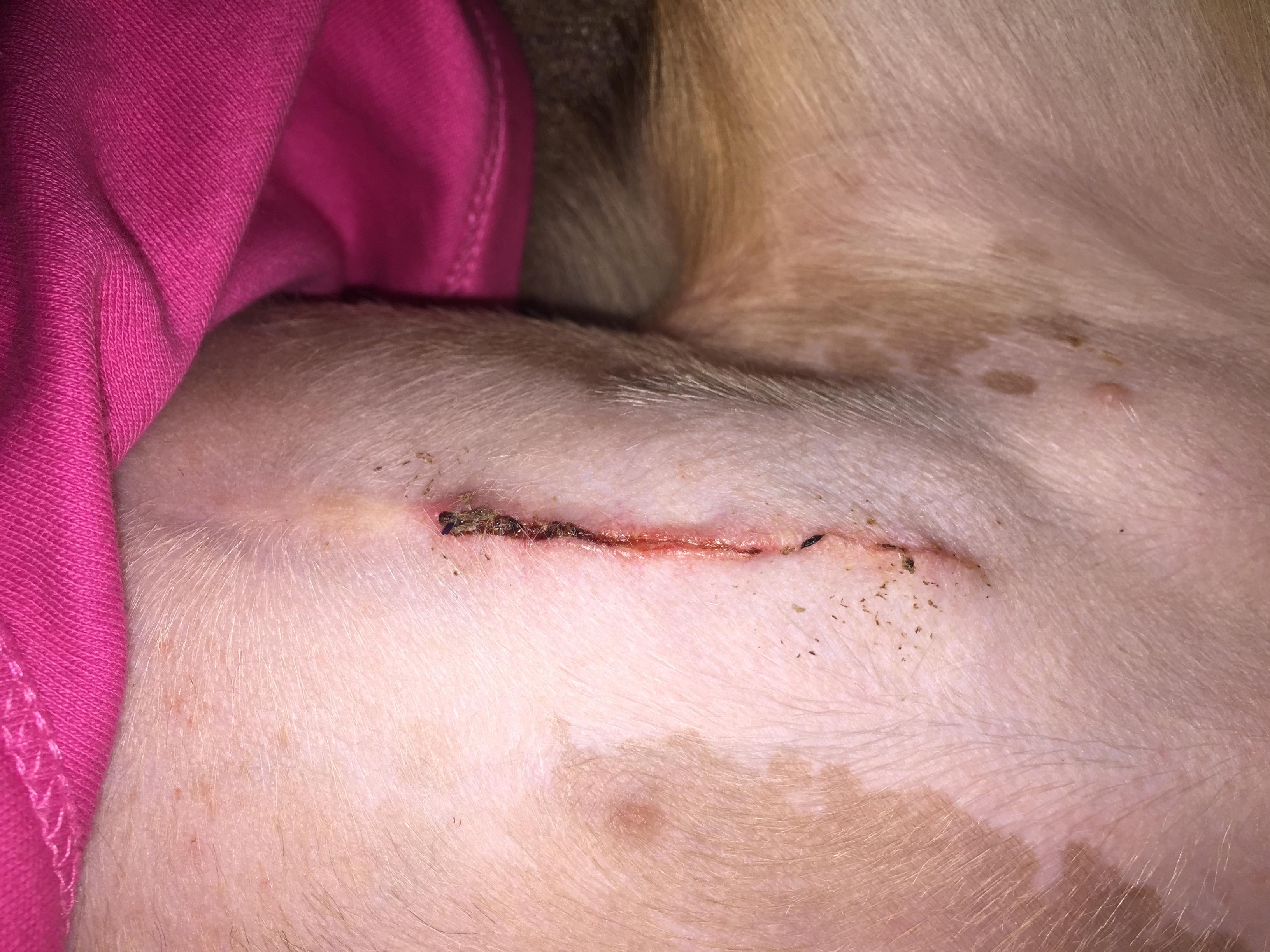 Question details sensitive content