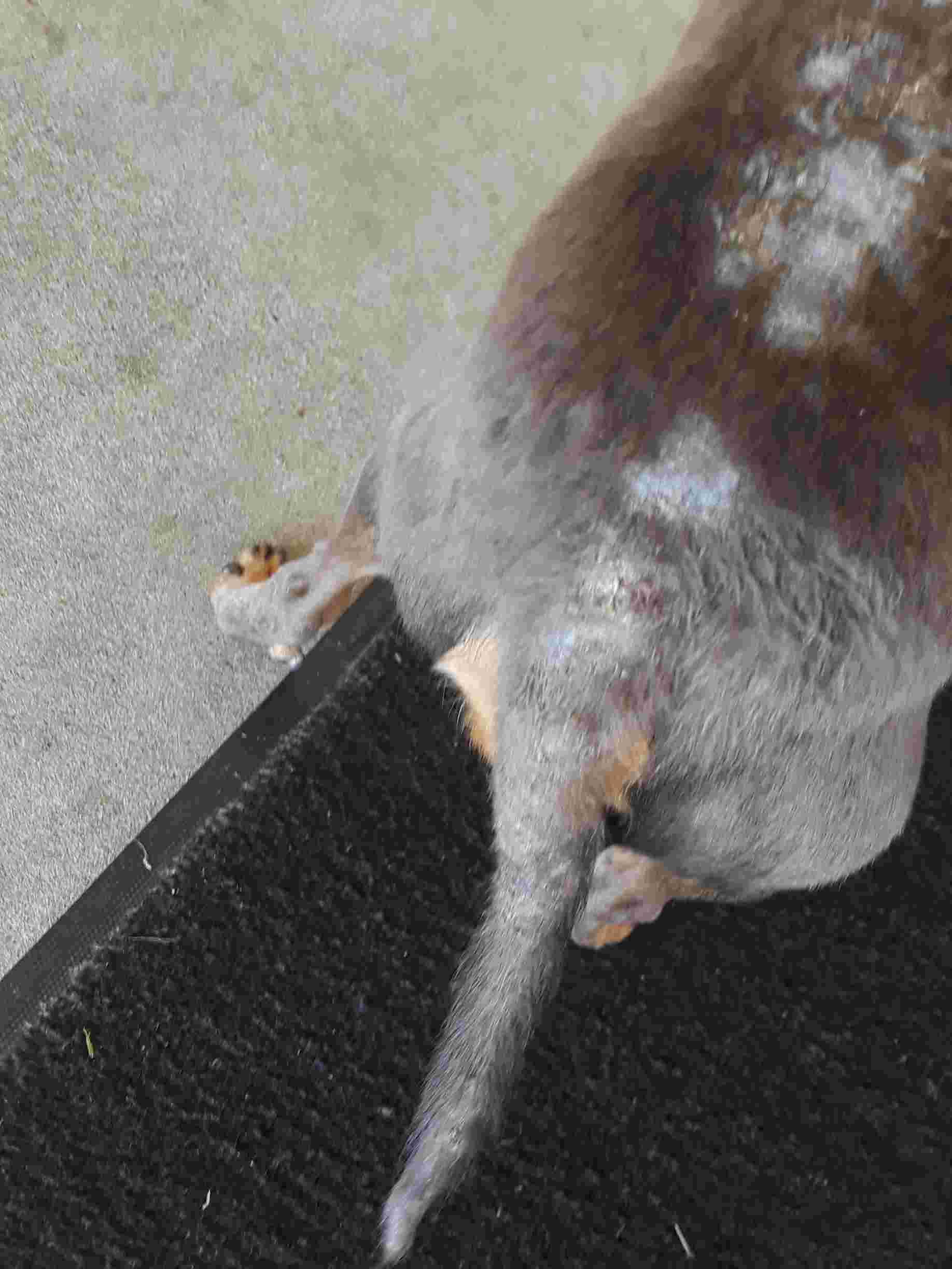 Question details sensitive content