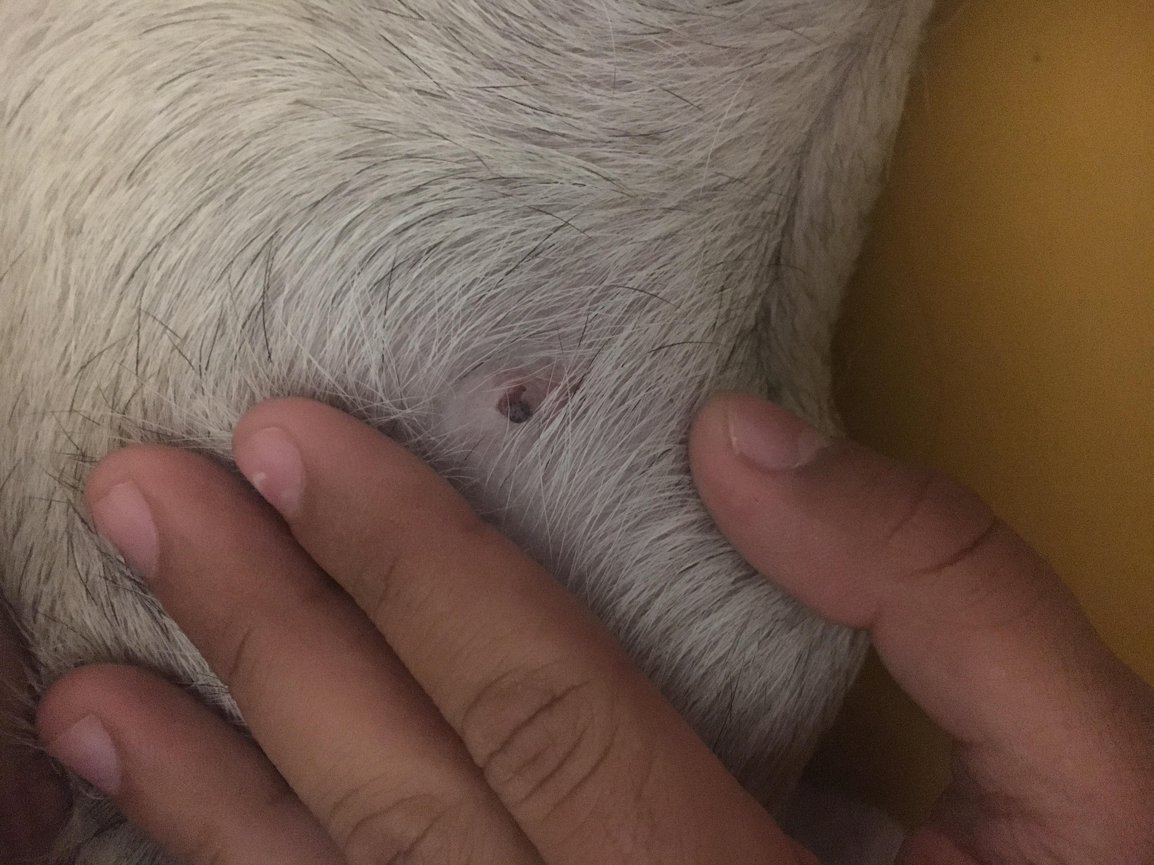 Question details sensitive content