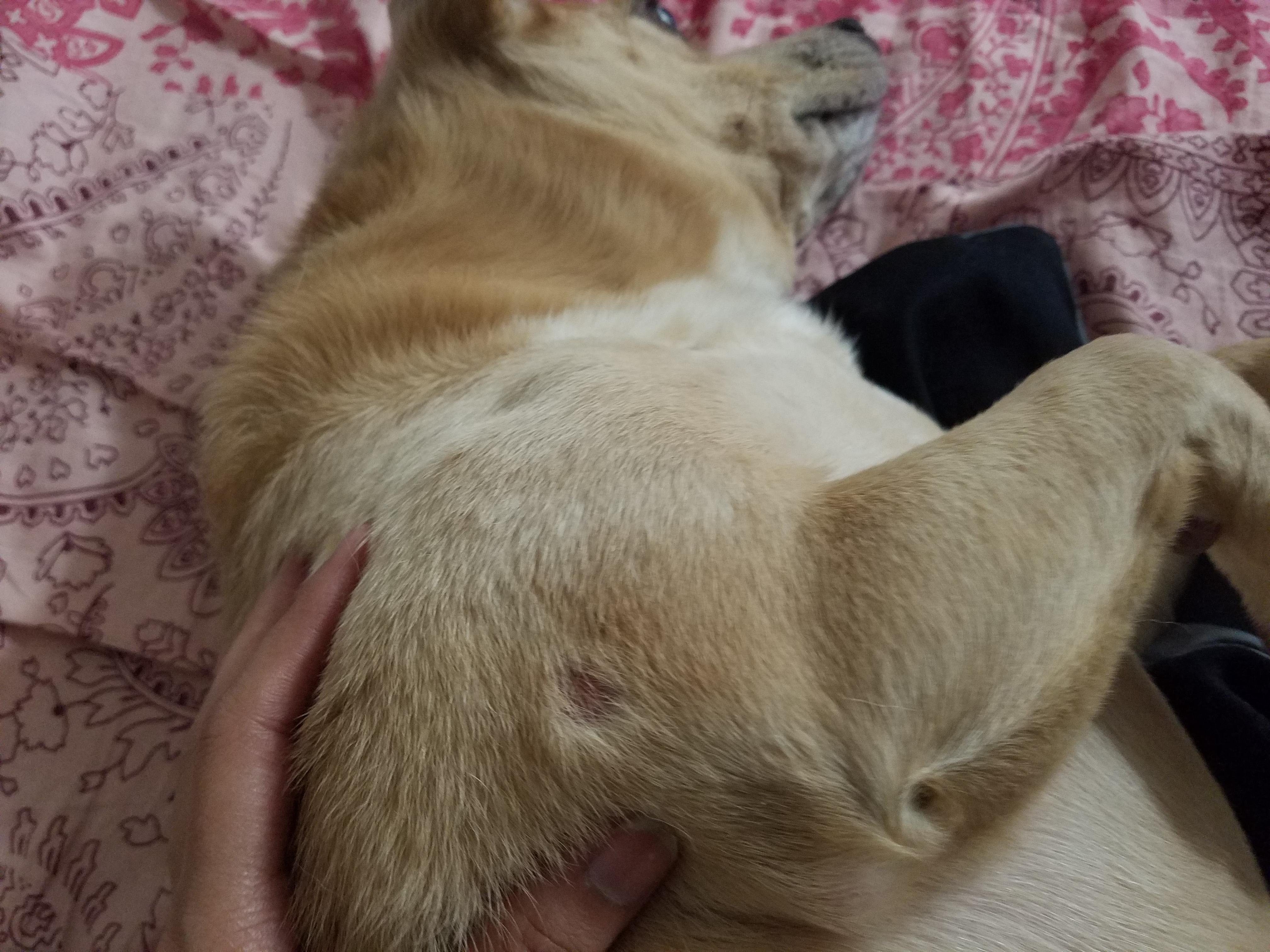 Question details sensitive content