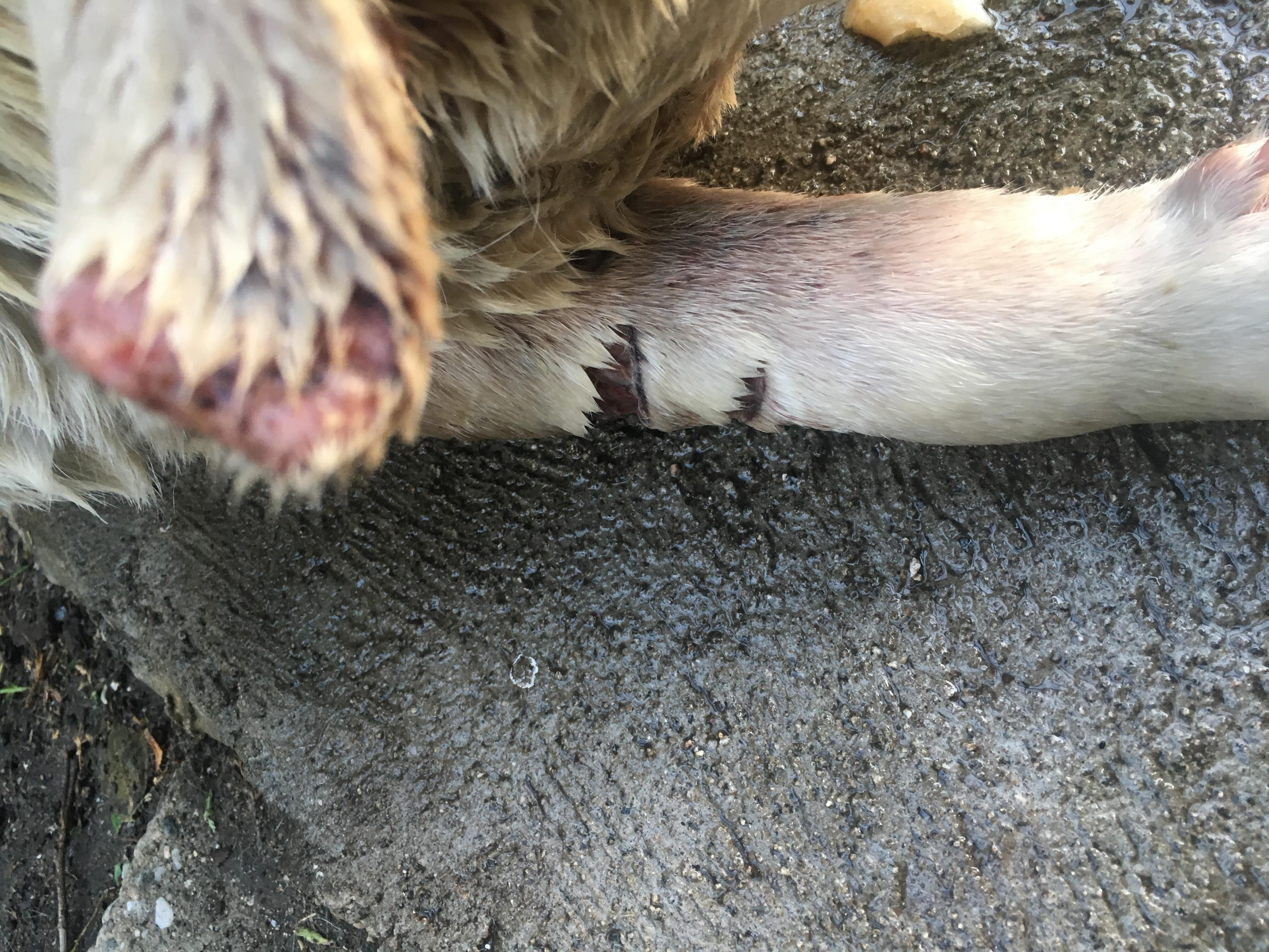 Question details sensitive content